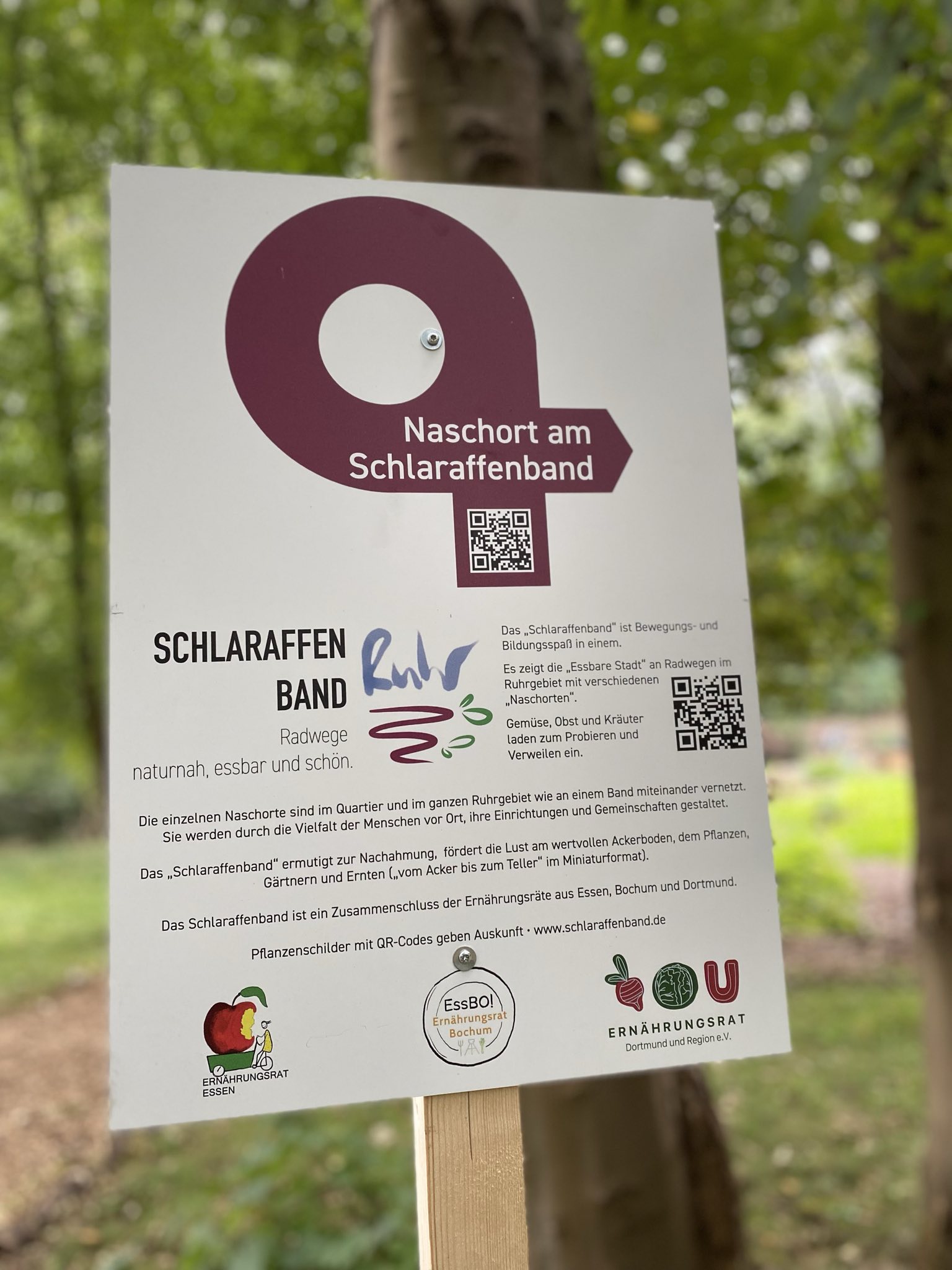 Schlaraffenband_2024 Schild zum Naschort