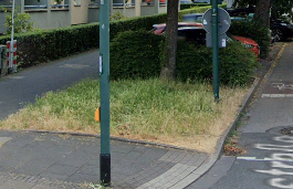Hundeklo wird Blumenwiese Hundeklo wird Blühparadies