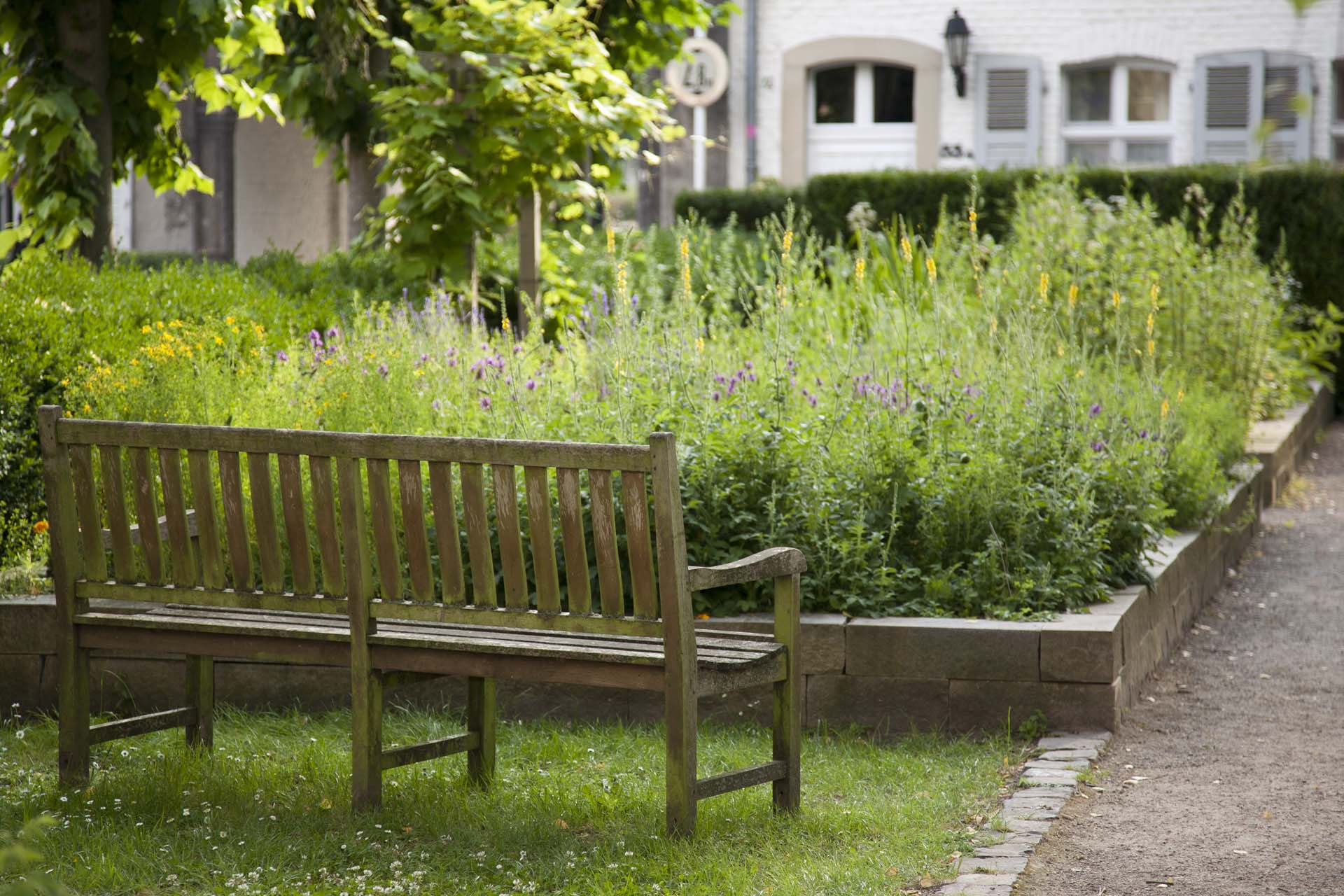 Kräutergarten Kloster Saarn_Stefanie Horn_2015 Holzbank mit Kräuterbeet im Hintergrund