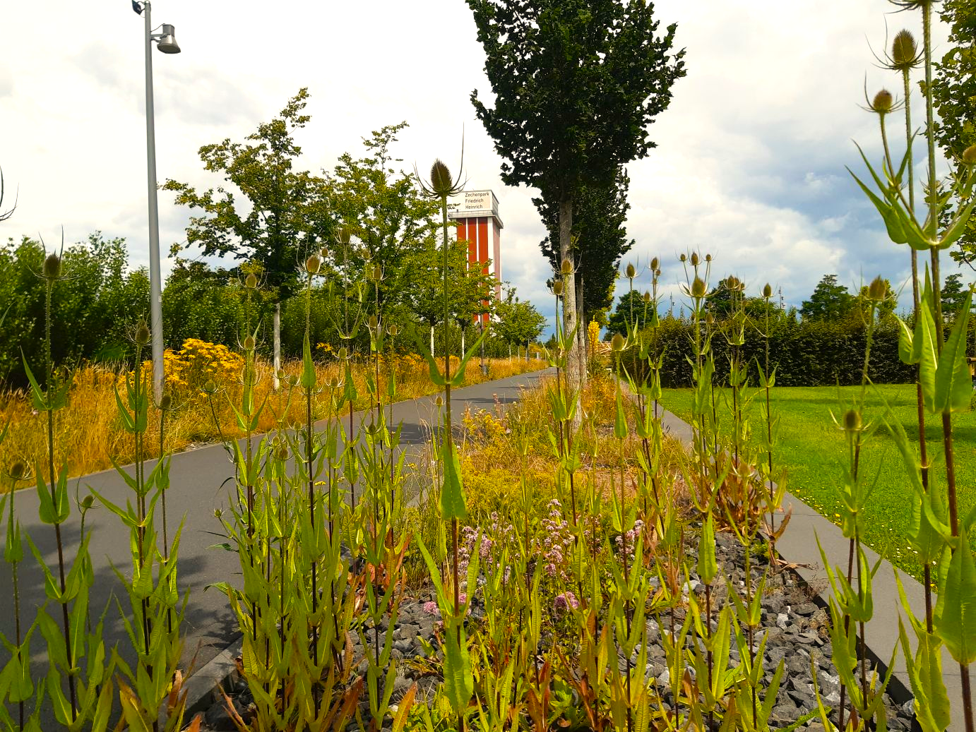 Dipsacus Förderturm Zechenpark