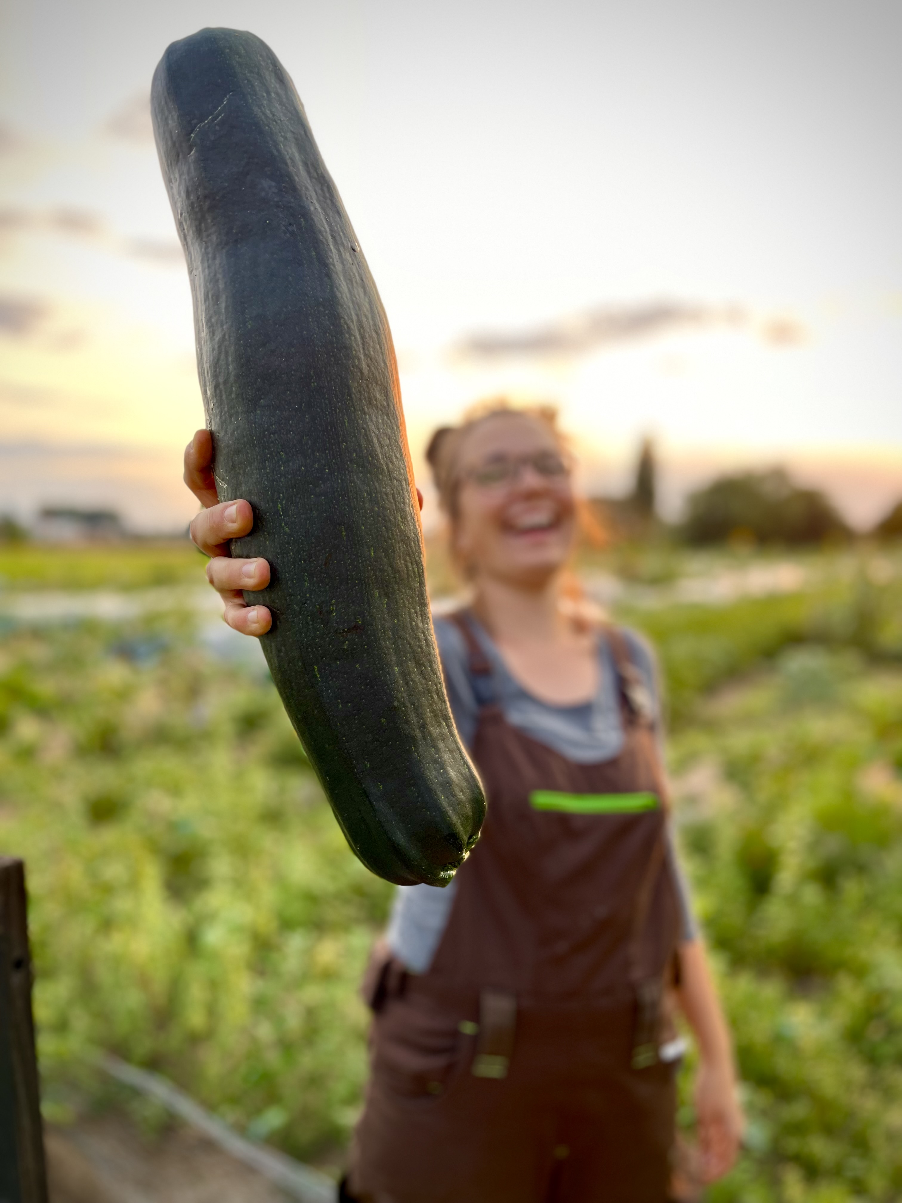 Mietgarten Essen Eine Gärtnerin, die ihre Zucchini präsentiert