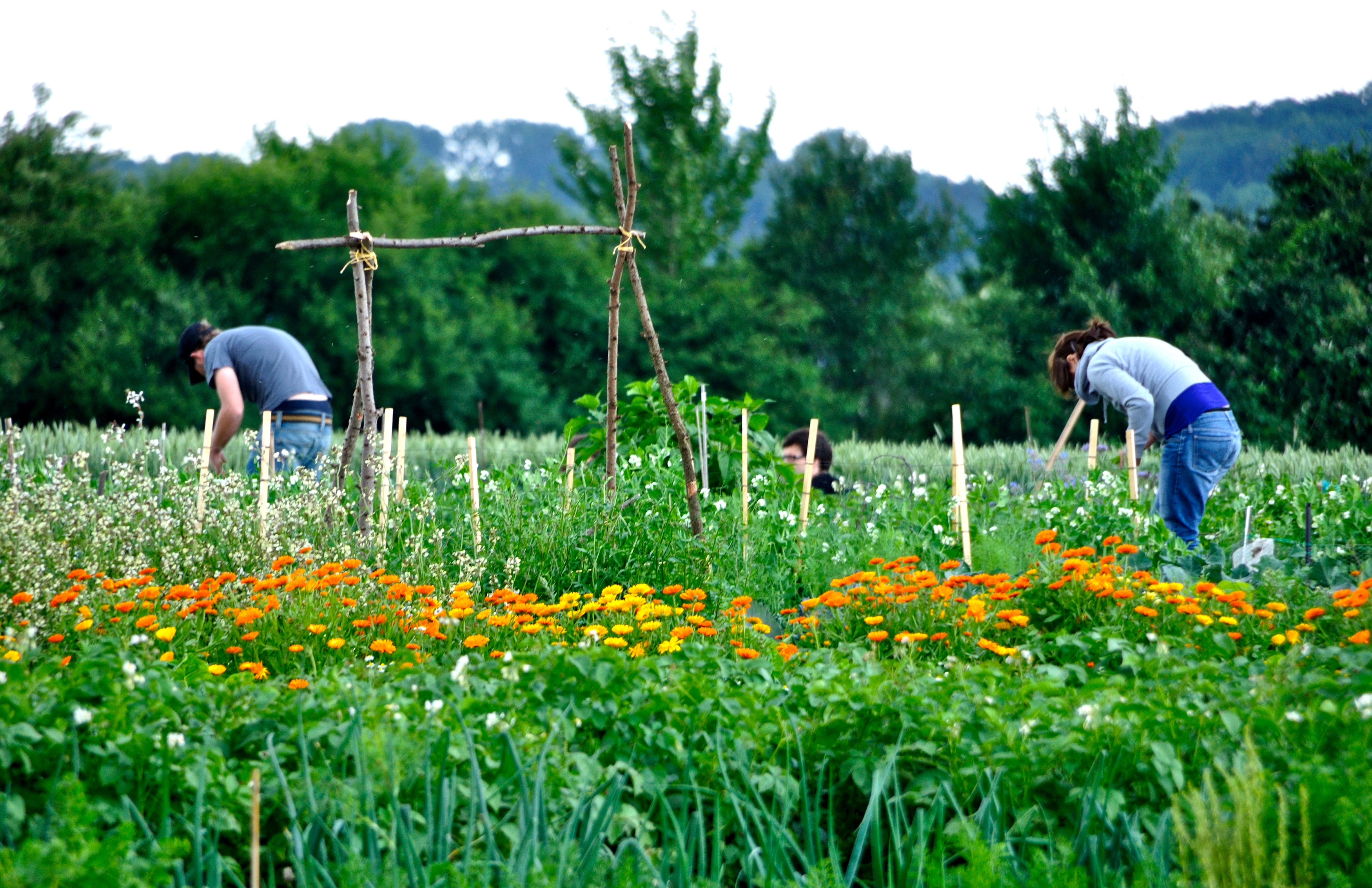 Mietgarten Bochum Menschen im Mietgarten