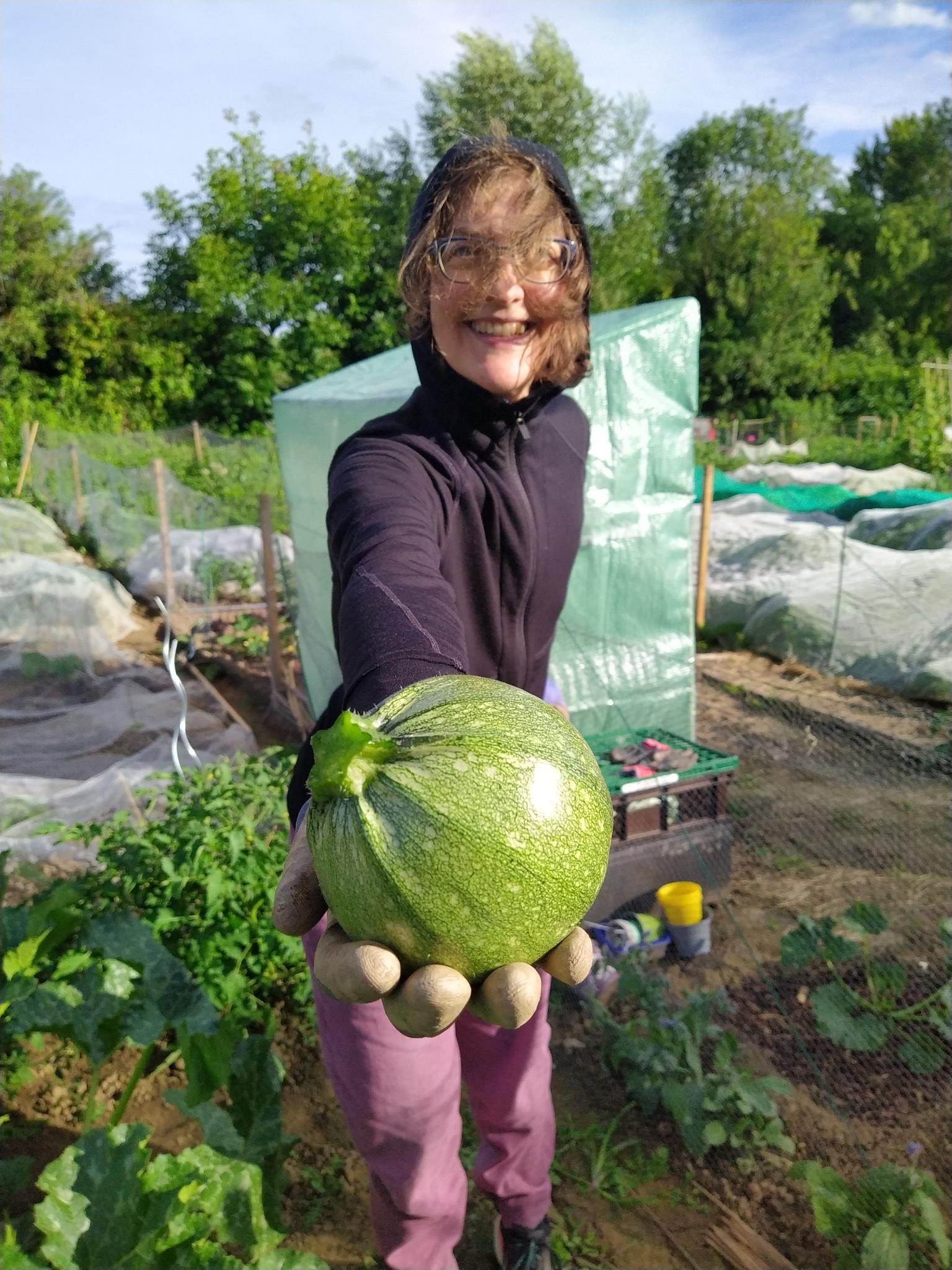 Mietgarten Düsseldorf Eine Gärtnerin, die ihre Zucchini präsentiert