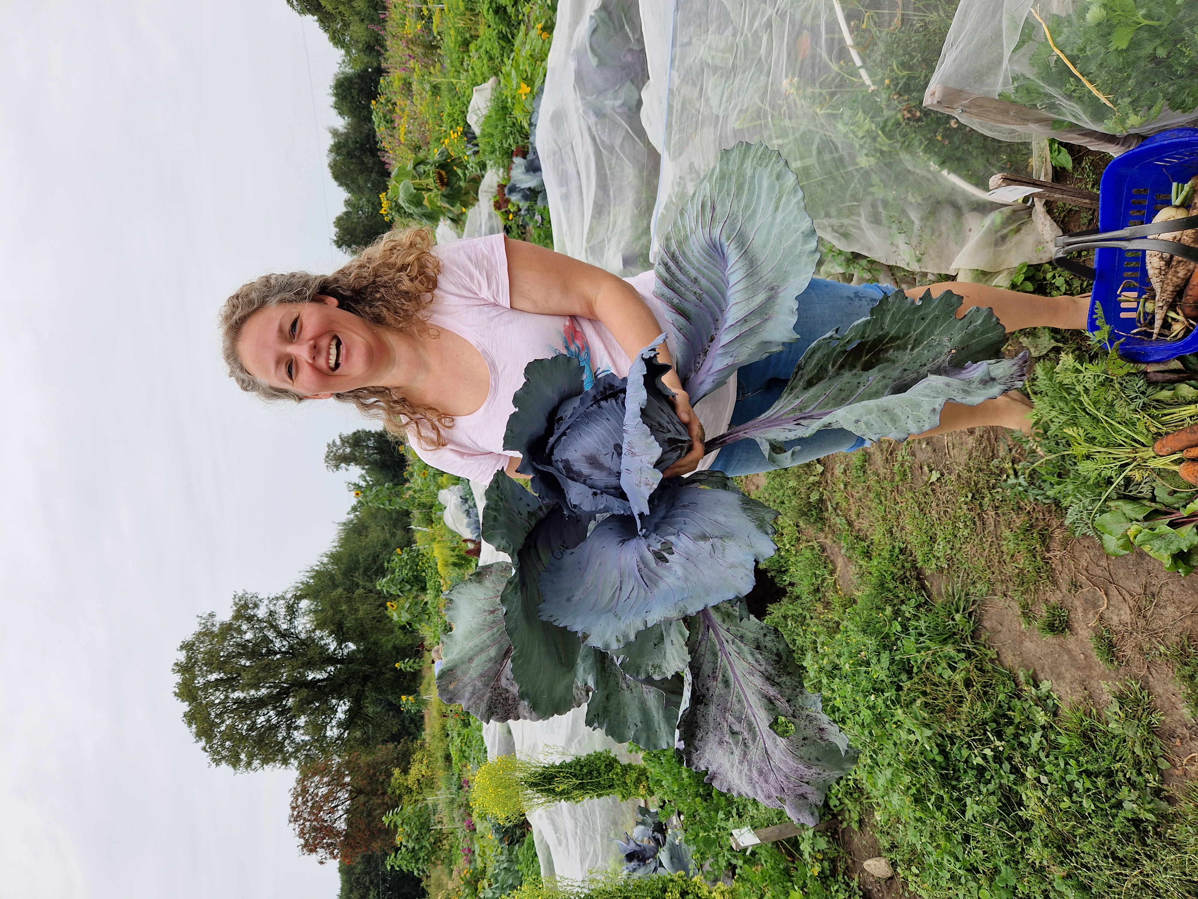 Mietgarten Düsseldorf Eine Gärtnerin, die ihren Rotkohl präsentiert