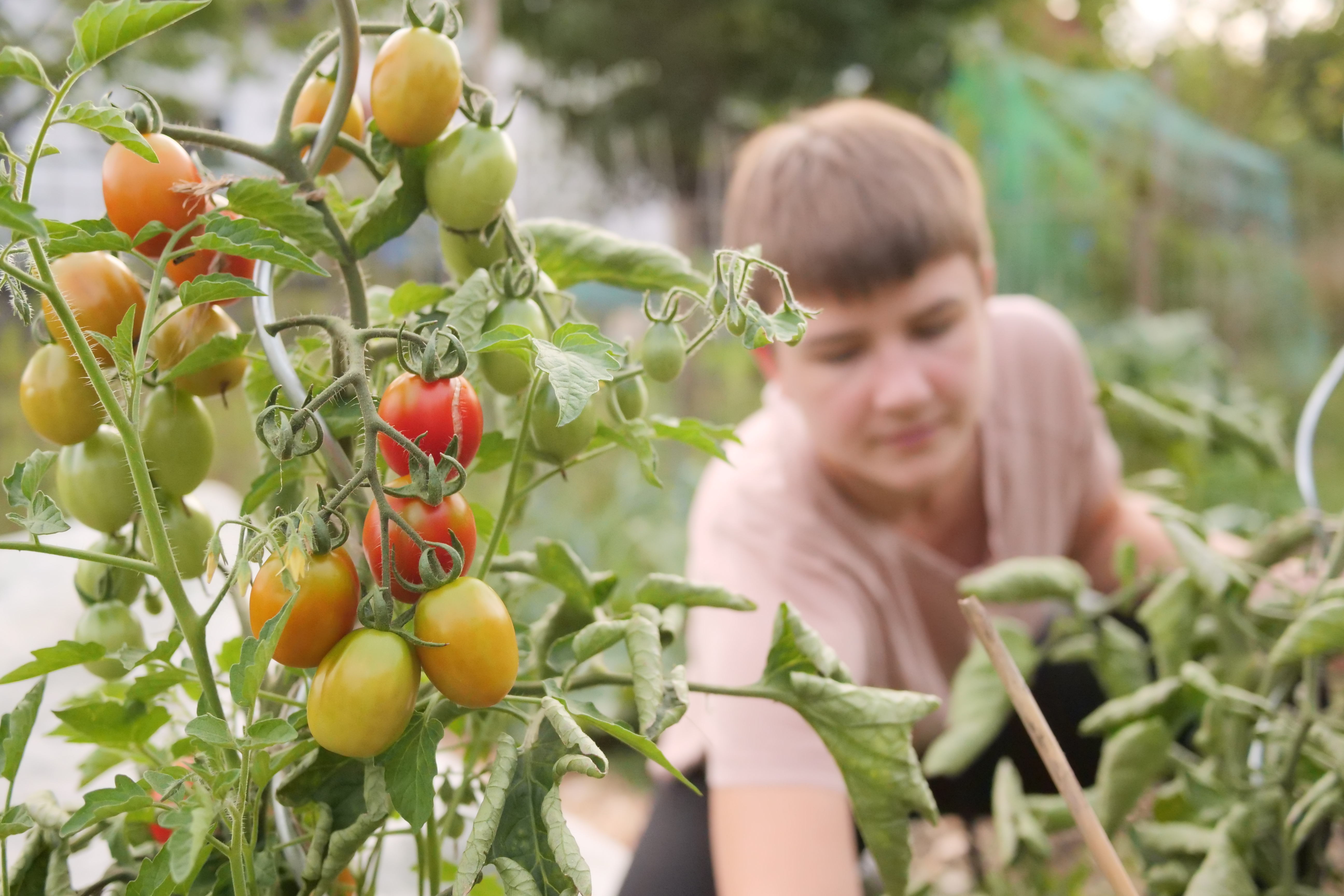 Eine Frau, die in ihrem Gemüsegarten arbeitet