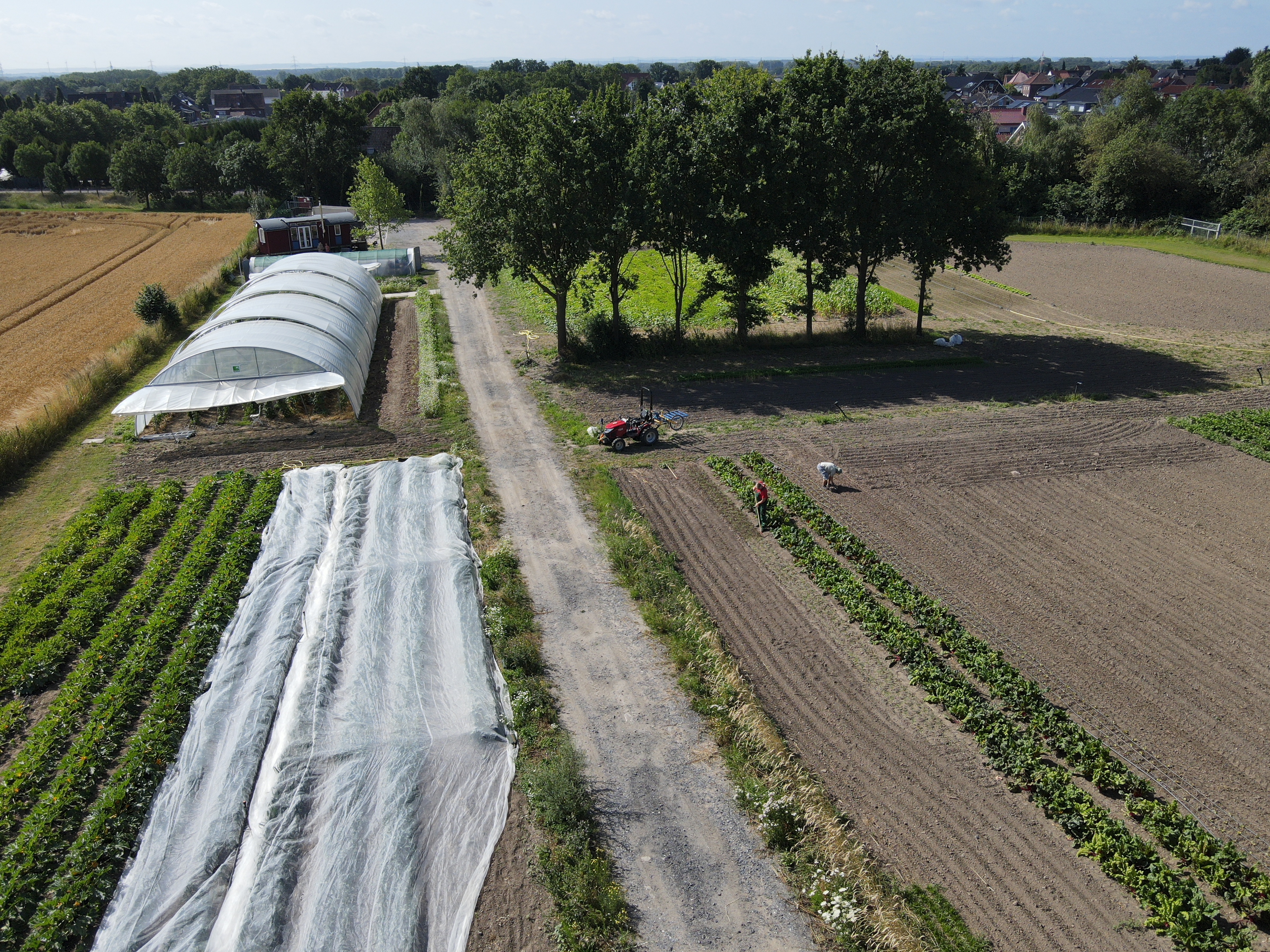 Unser Folientunnel und die Beete im Freiland für das Gemüse.