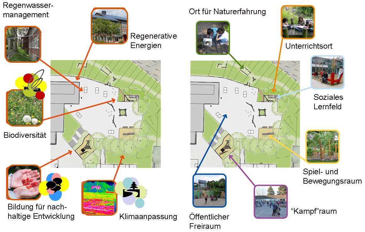 Das naturnahe Schulgelände ist mehr als ein Pausenraum_M.Hoff Die Collage zeigt die vielfältigen Möglichkeiten, die ein naturnahes Schulgelände über den Pausenraum hinaus bietet.