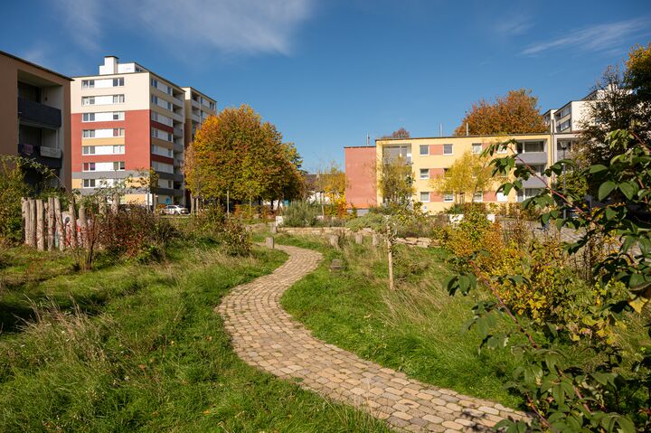 Das Foto zeigt den Hauptweg durch den PikoPark mit Blick nach Norden.
