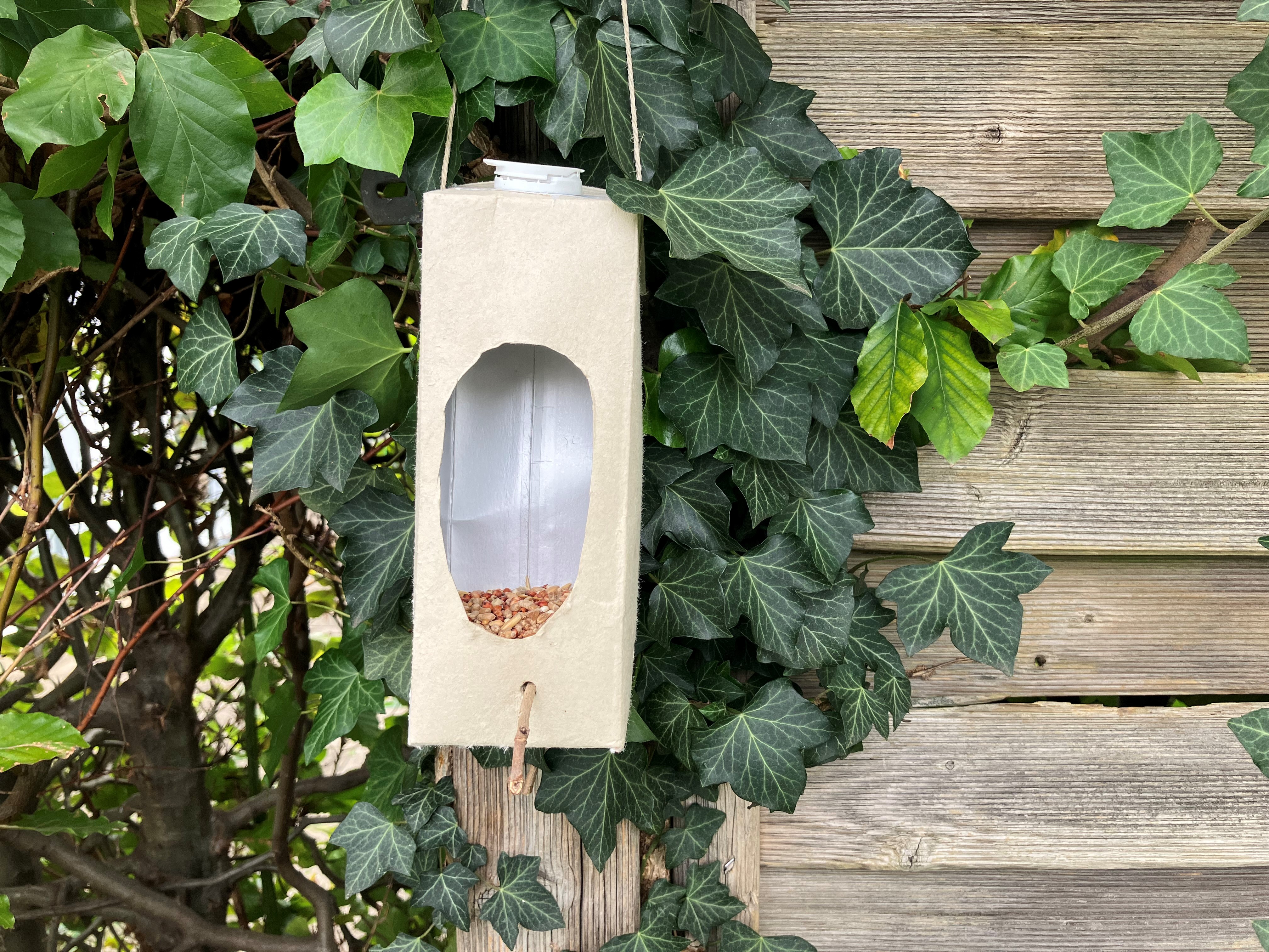 Im Vordergrund ist ein Tetrapack zu sehen, aus dem eine Vogelfutterstelle gebastelt wurde. Diese hängt an einer Sichtschutzwand und ist mit Vogelfutter befüllt. Im Hintergrund ist Efeu und eine Hecke zu sehen.