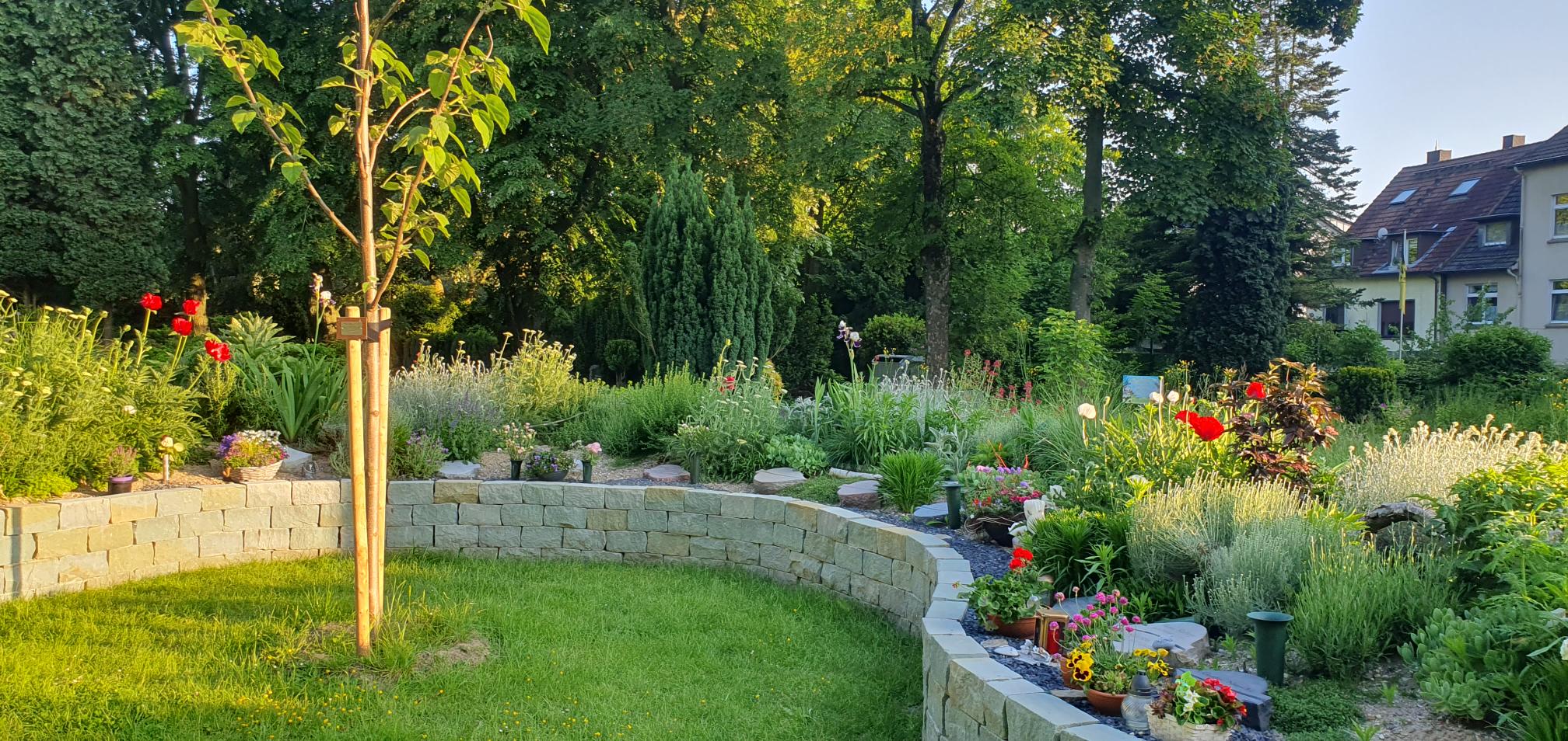 Urnengarten Hochbeet für Urnen mit Stauden bepflanzt