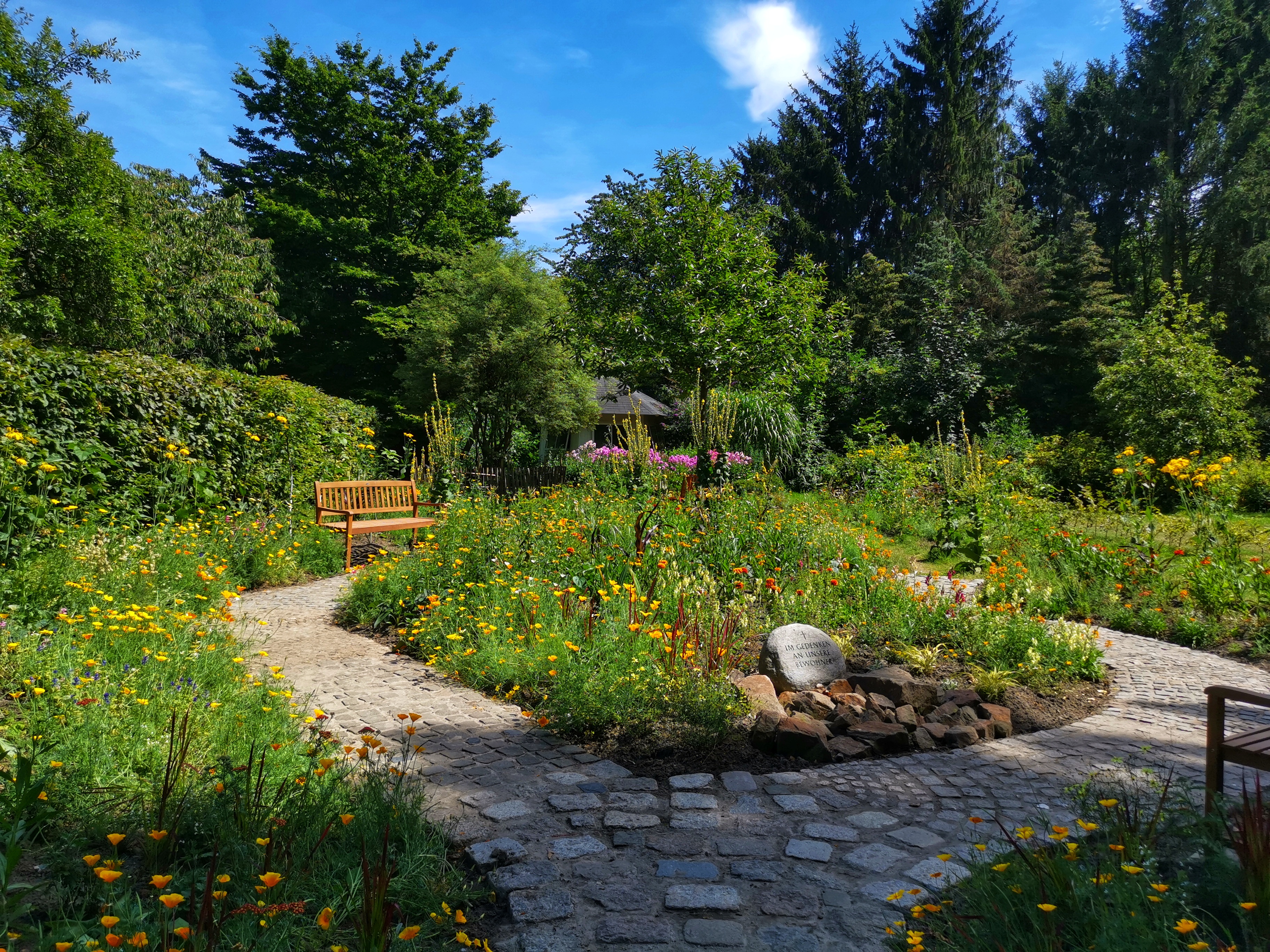 gelber Garten Auf dem Bild sieht man einen Garten mit gelben Blumen und einer Bank.