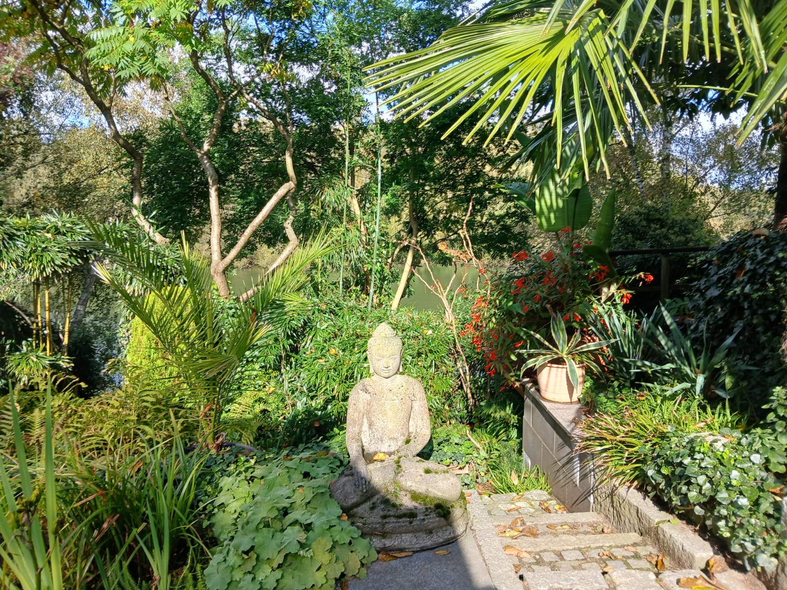 Mein Garten Ein wunderschöner Garten in Haltern am See