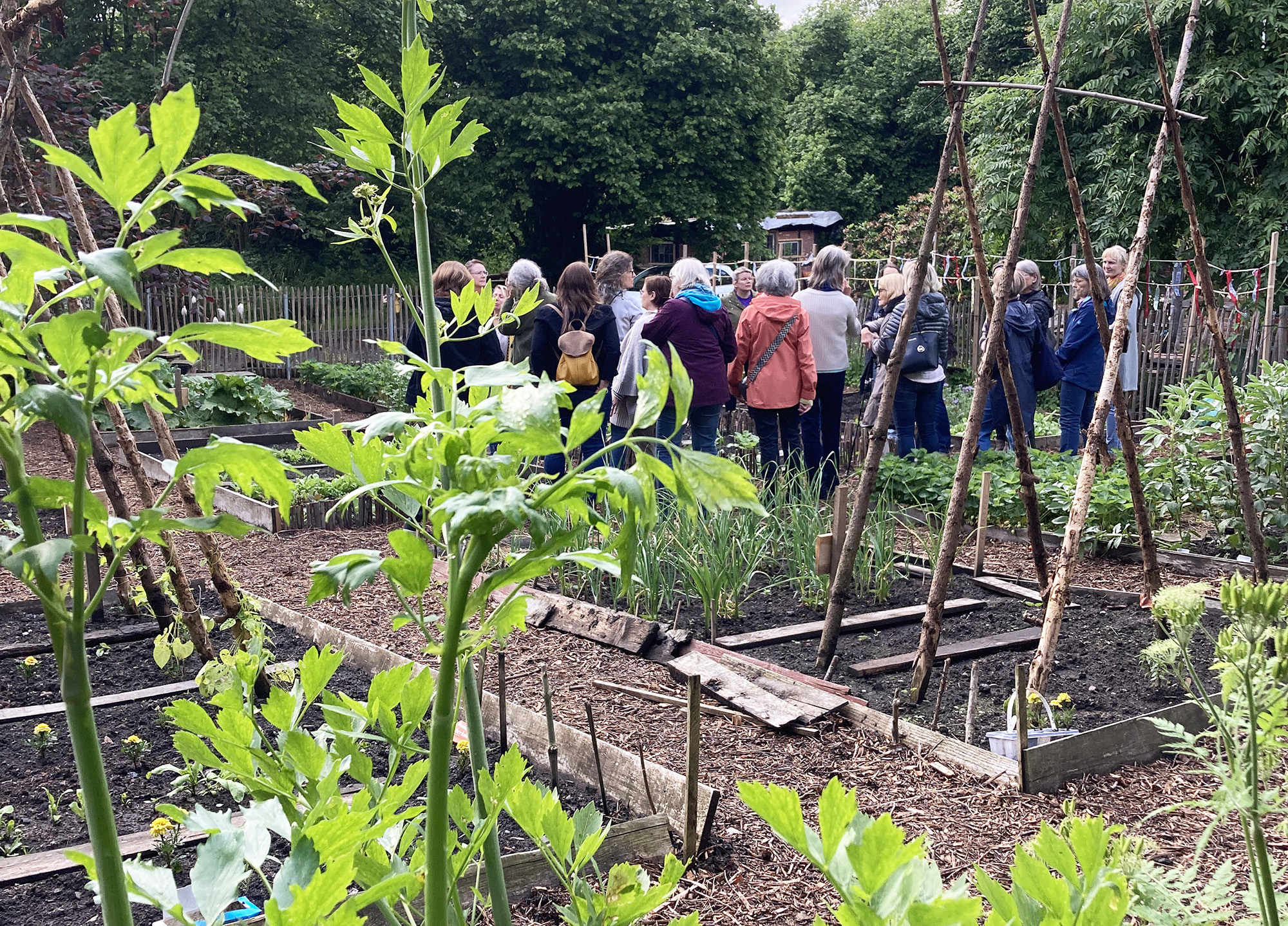 Günnemann-Kotten, Witten, Gemüsegarten Gemüsegarten: eingefasste, längliche Beete