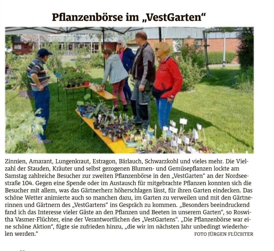 VestGarten Pflanzenbörse im Frühjahr