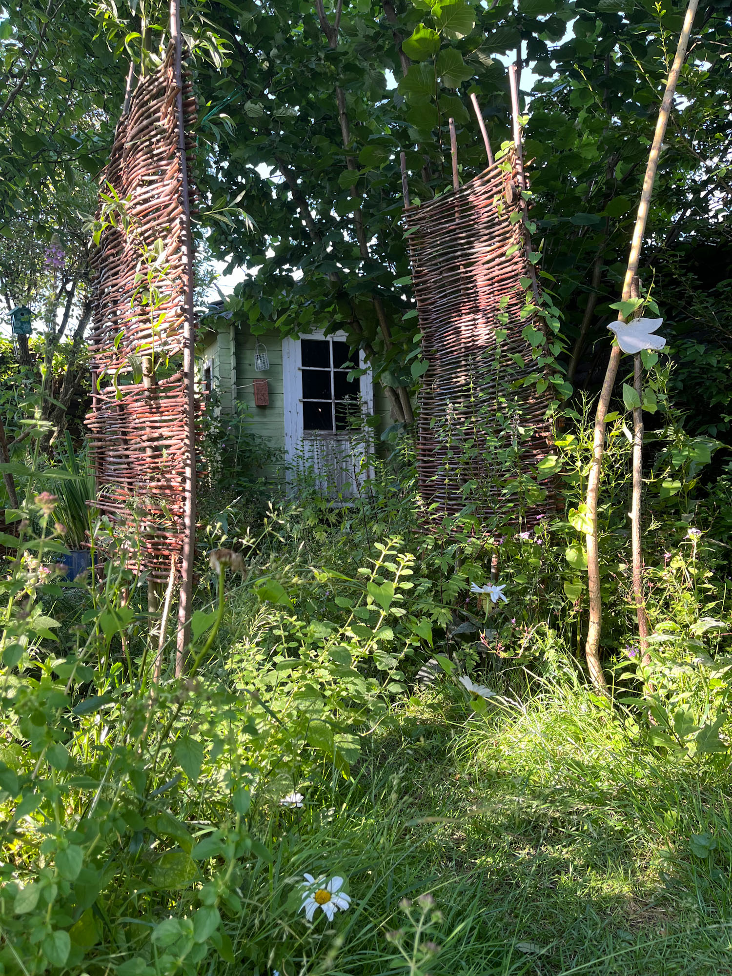 Weidenbogen Blick durch einen Weidenbogen auf das Gartenhäuschen