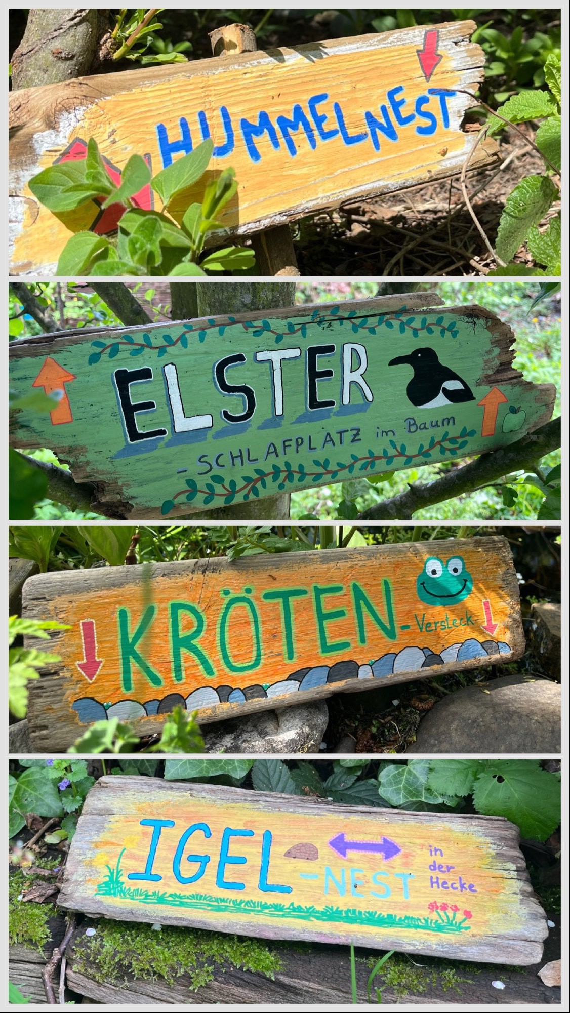 Tiere im Garten Man sieht vier Schilder, die auf Tiere im Garten hinweisen