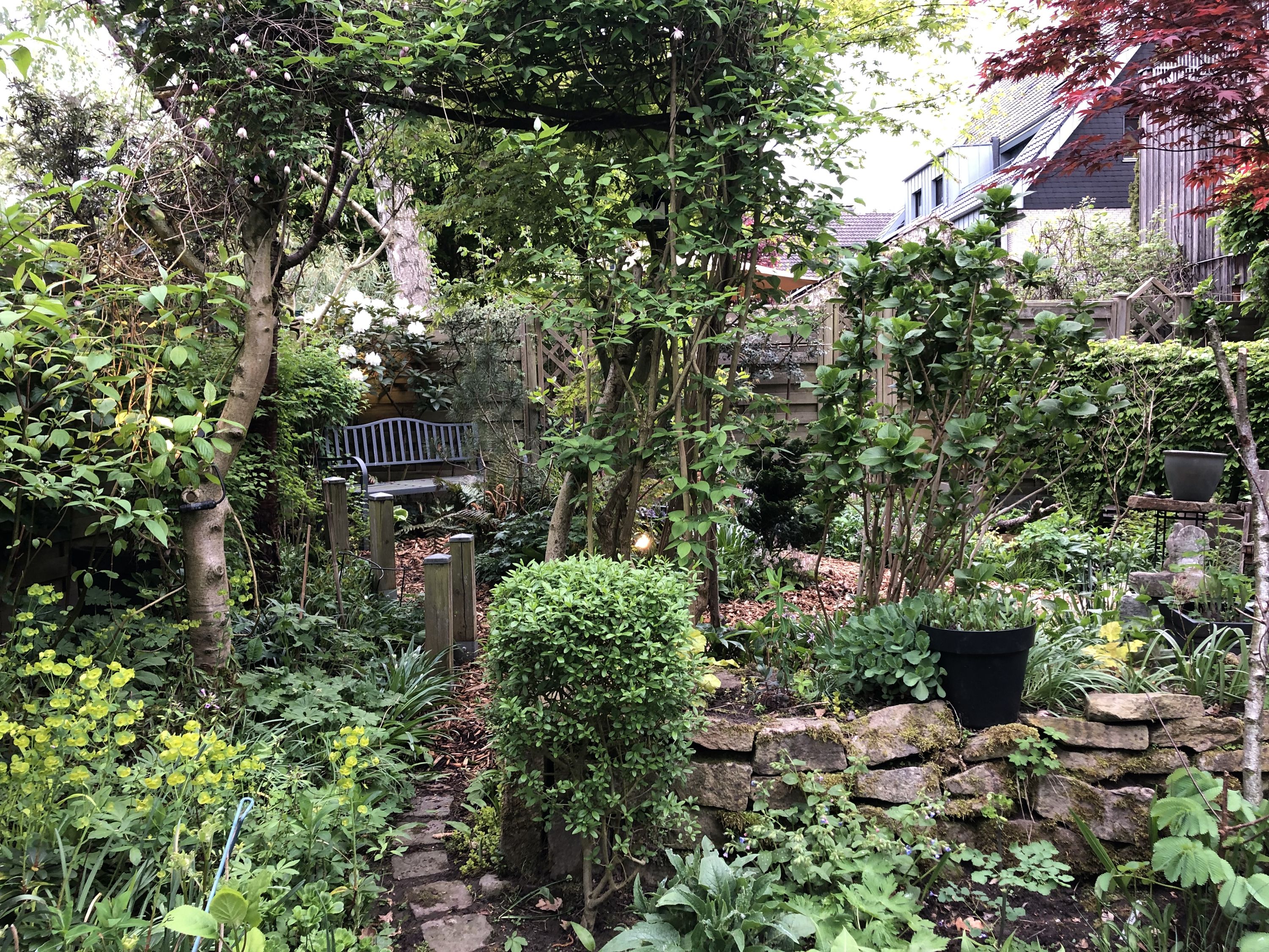 Waldgarten Waldgarten