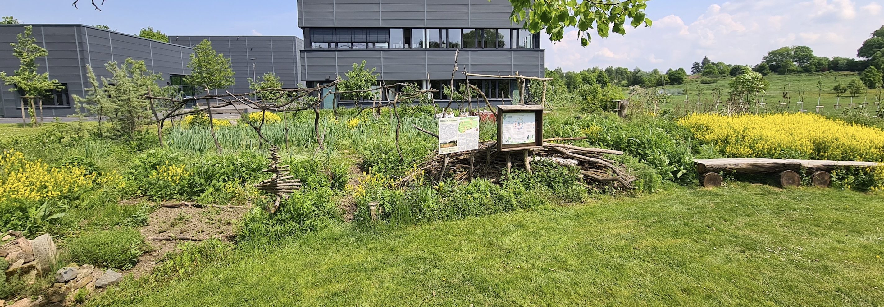 Auf dem Bild sind verschiedene Elemente der Permakultur in unserem Hochschulgarten zu sehen - beispielsweise einige Beete und eine Trockenhecke.