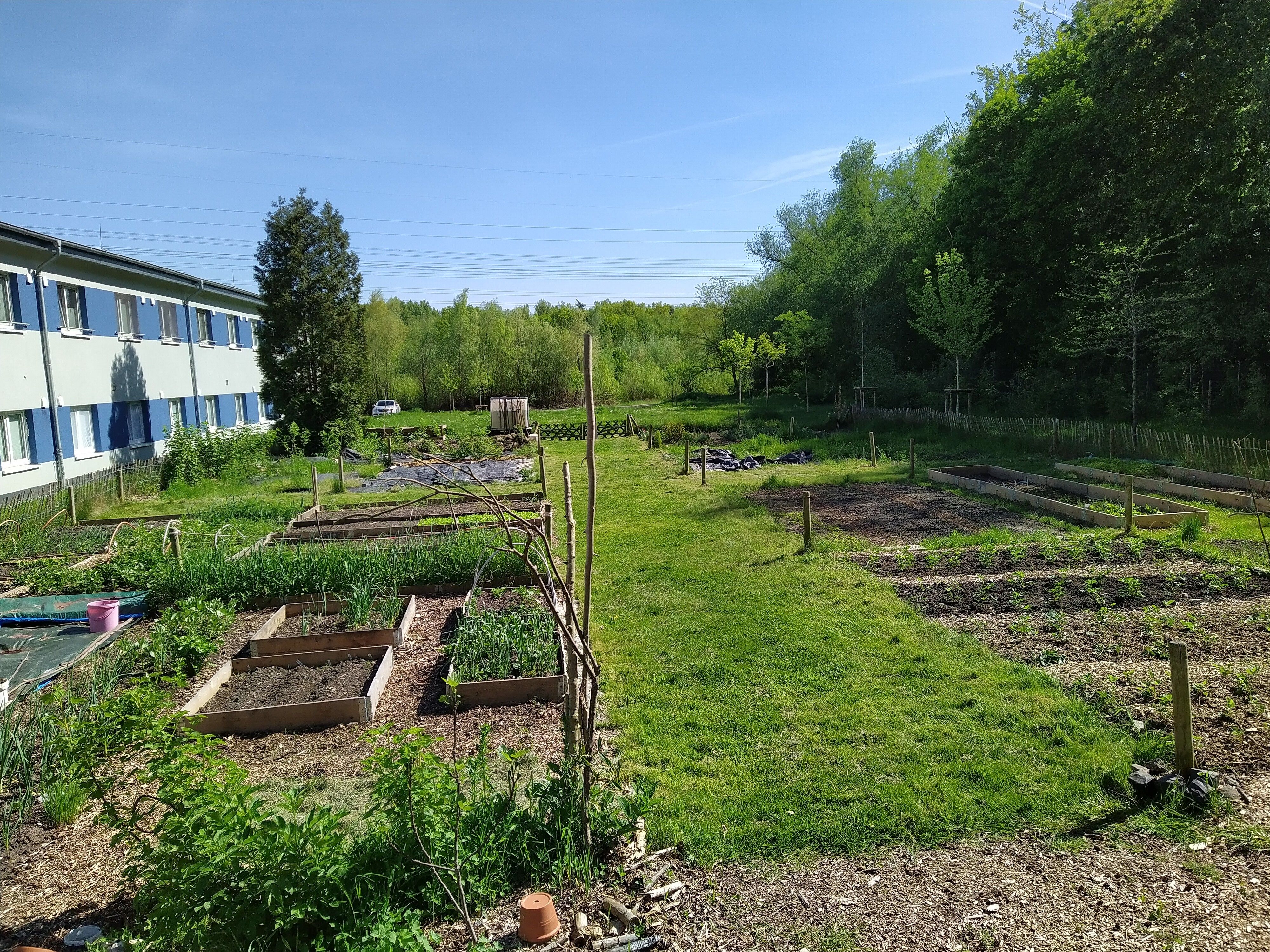 GdB_Datteln_Kollmann_2025 Das Fotot zeigt den Blick aus dem Bauwagen über den Garten im April 2025
