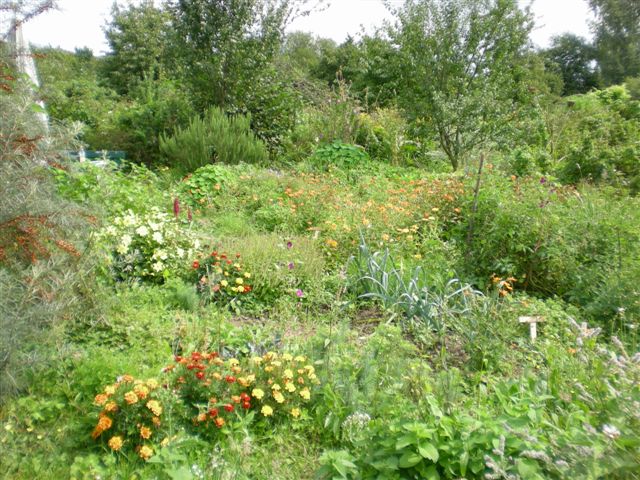 Vielfalt im Gemüsegarten Das Bild zeigt im Vordergrund eine Beet in wilder Vielfalt von Blumen, Kräutern, Gemüse. Im Hintergrund Sträucher und Bäume.