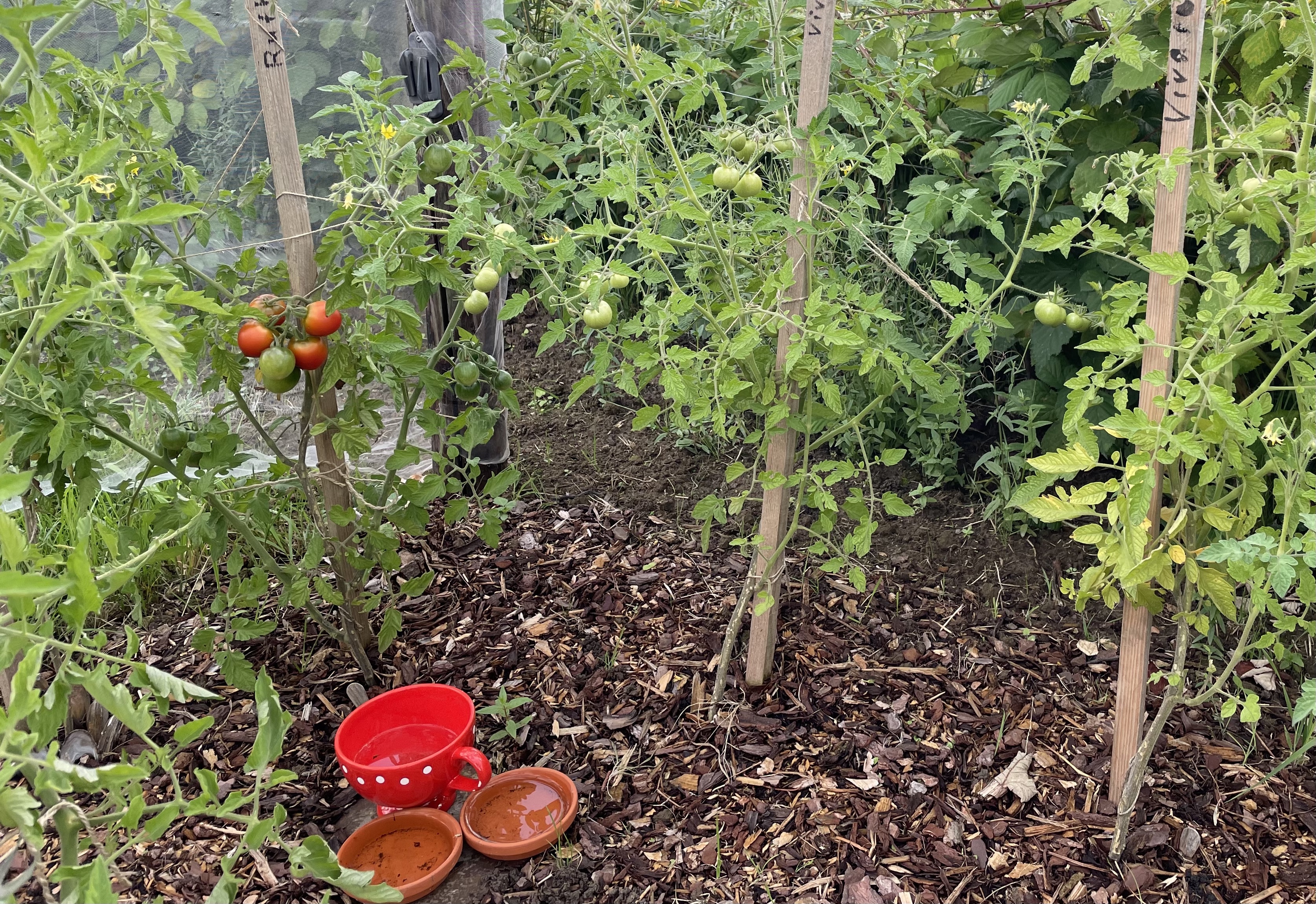 Klimagarten Bueker Hof Parzelle Ackerparzelle