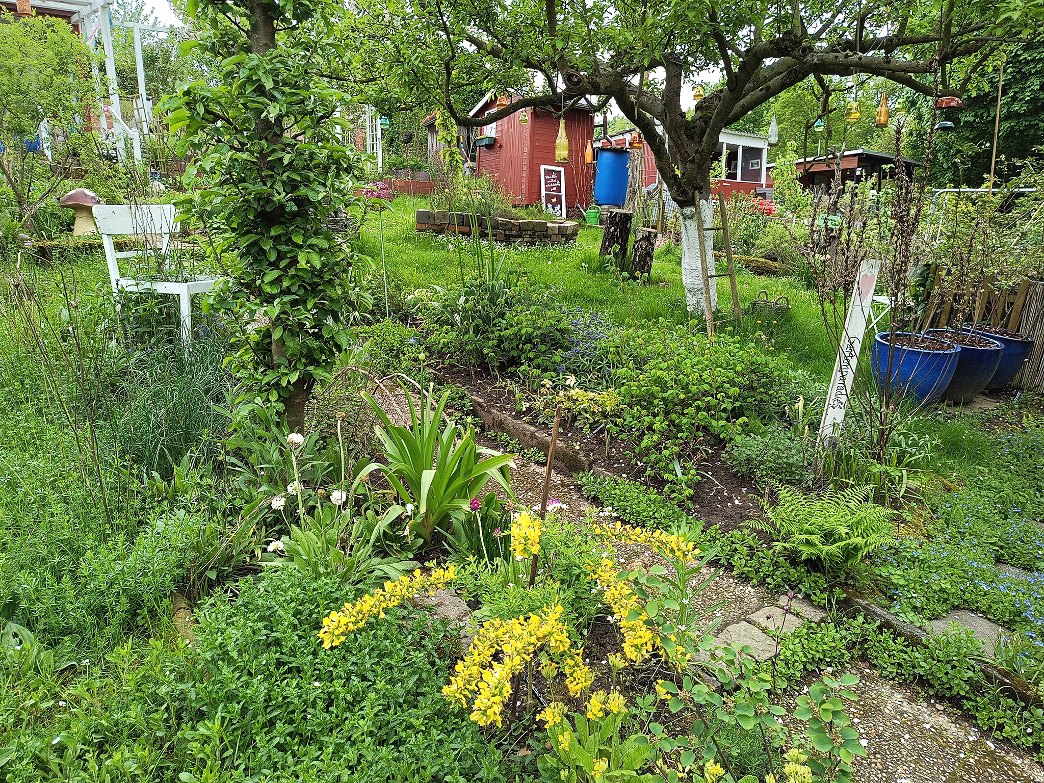 Tinas Naturkleingarten_Essen_Martina_van_Wesel_2023 Blick über den Hauptweg zur Wiese mit Apfelbaum und (Recycling-)Kräuterschnecke