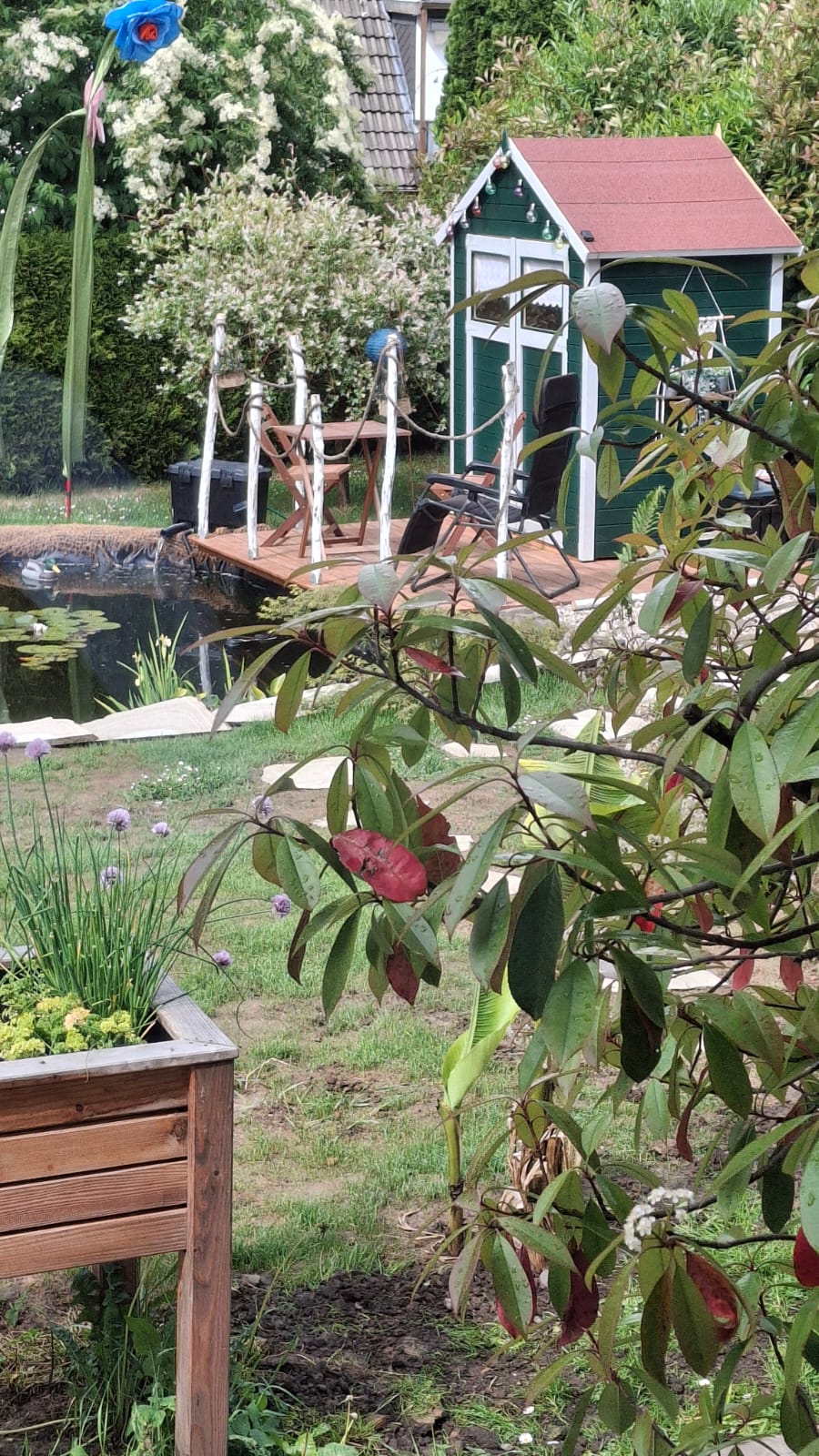 Einen Teich mit Terrasse und Hütte in den Farben dunkelgrün, lichtgrau un rot. Wiese die wieder wachsen muss, da der Teich zum jetztigen Stand erst acht Wochen alt ist.
