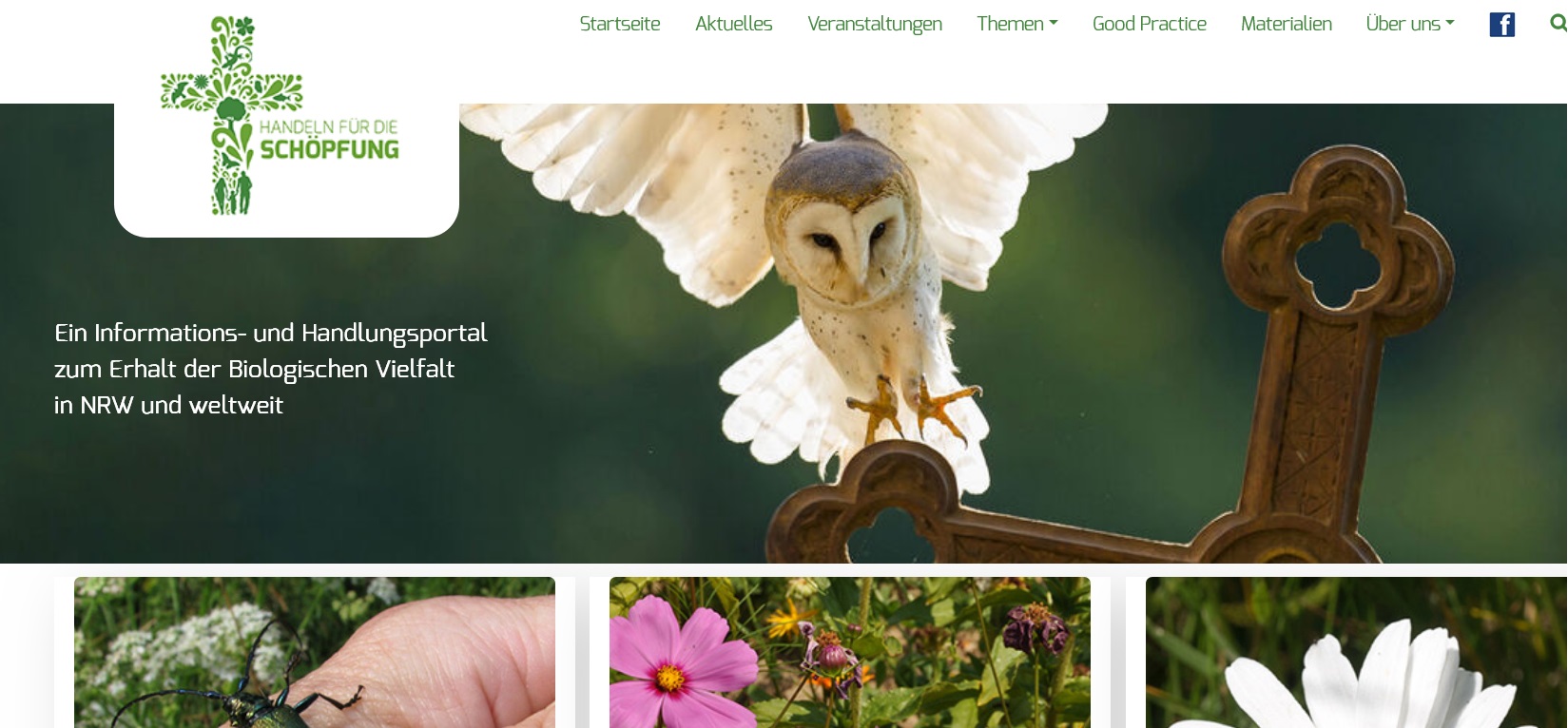 www.kirche-natur.nrw.de Auf ein Kreuz anfliegende Schleiereule neben Logo mit Kreuz und über Fotos von Käfer und Blüten
