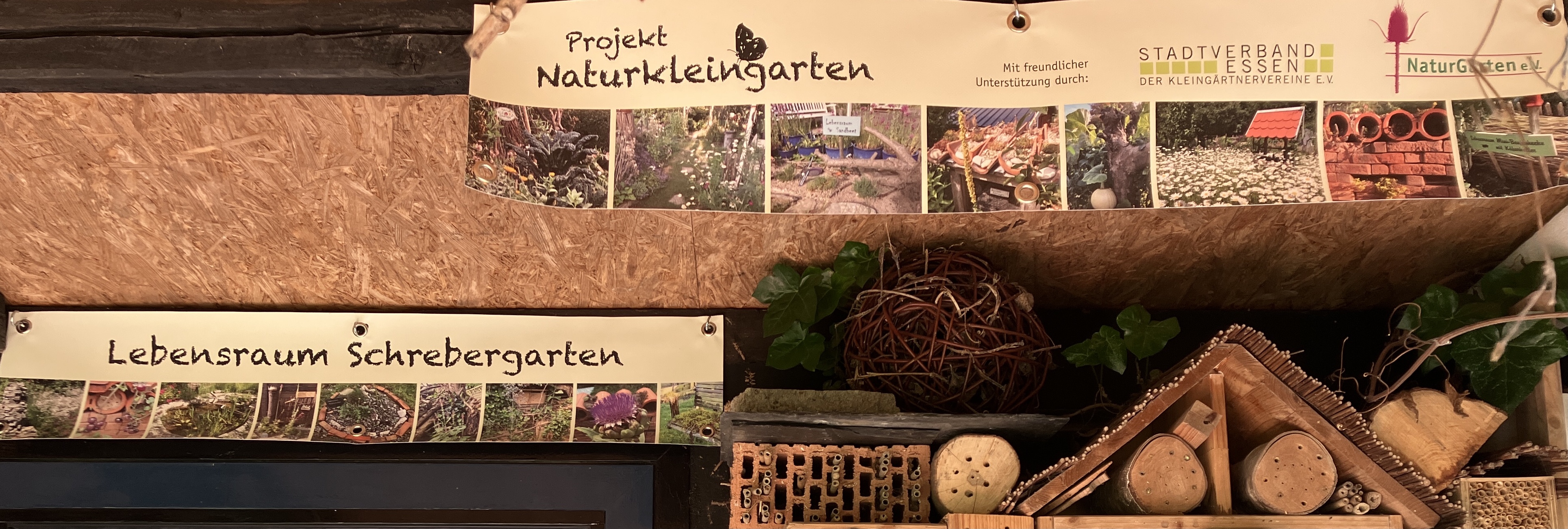 Naturkleingarten_Essen_Waimann_ 2025 Banner "Projekt Naturkleingarten"