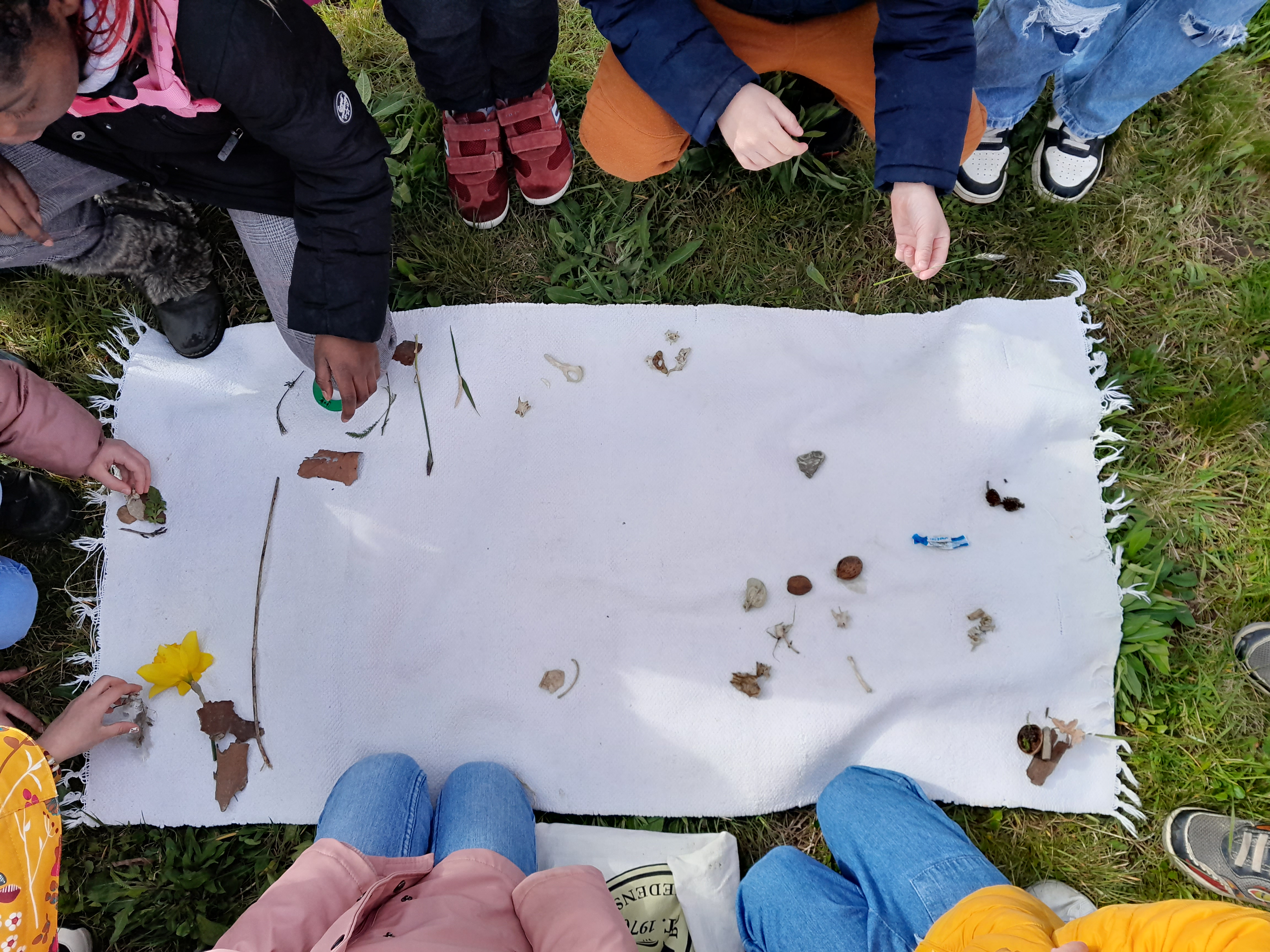 Zu sehen ist ein weißes Tuch mit unterschiedlichen Naturgegenständen: Blättern, Pflanzenteilen und auch Knochen. Das Foto wurde von oben nach unten aufgenommen und zu sehen sind auch Ausschnitte von Füßen, Händen und Schuhen von Kindern, die an dem Tuch kien.