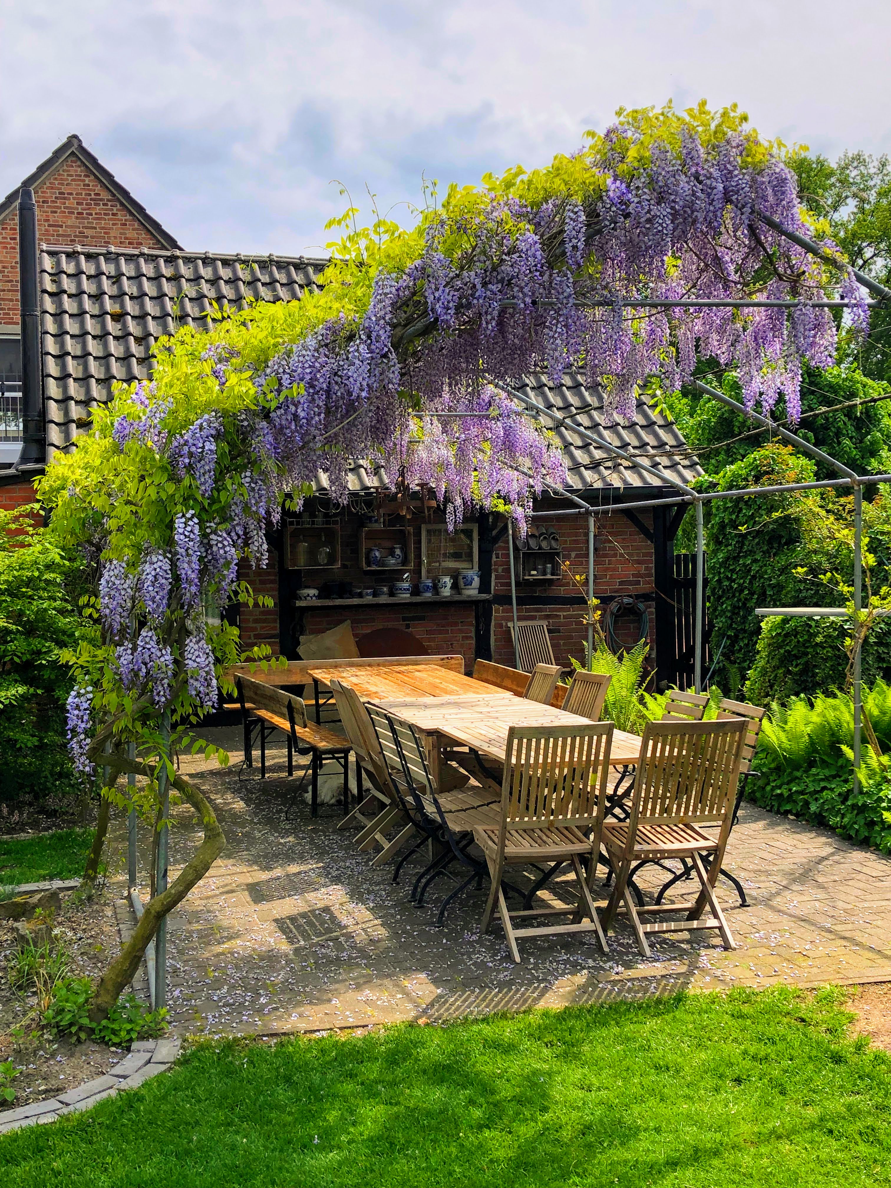 Landleben op de Kuhle, Dorsten, C. Schumann, 2025 Terrasse mit Blauregen