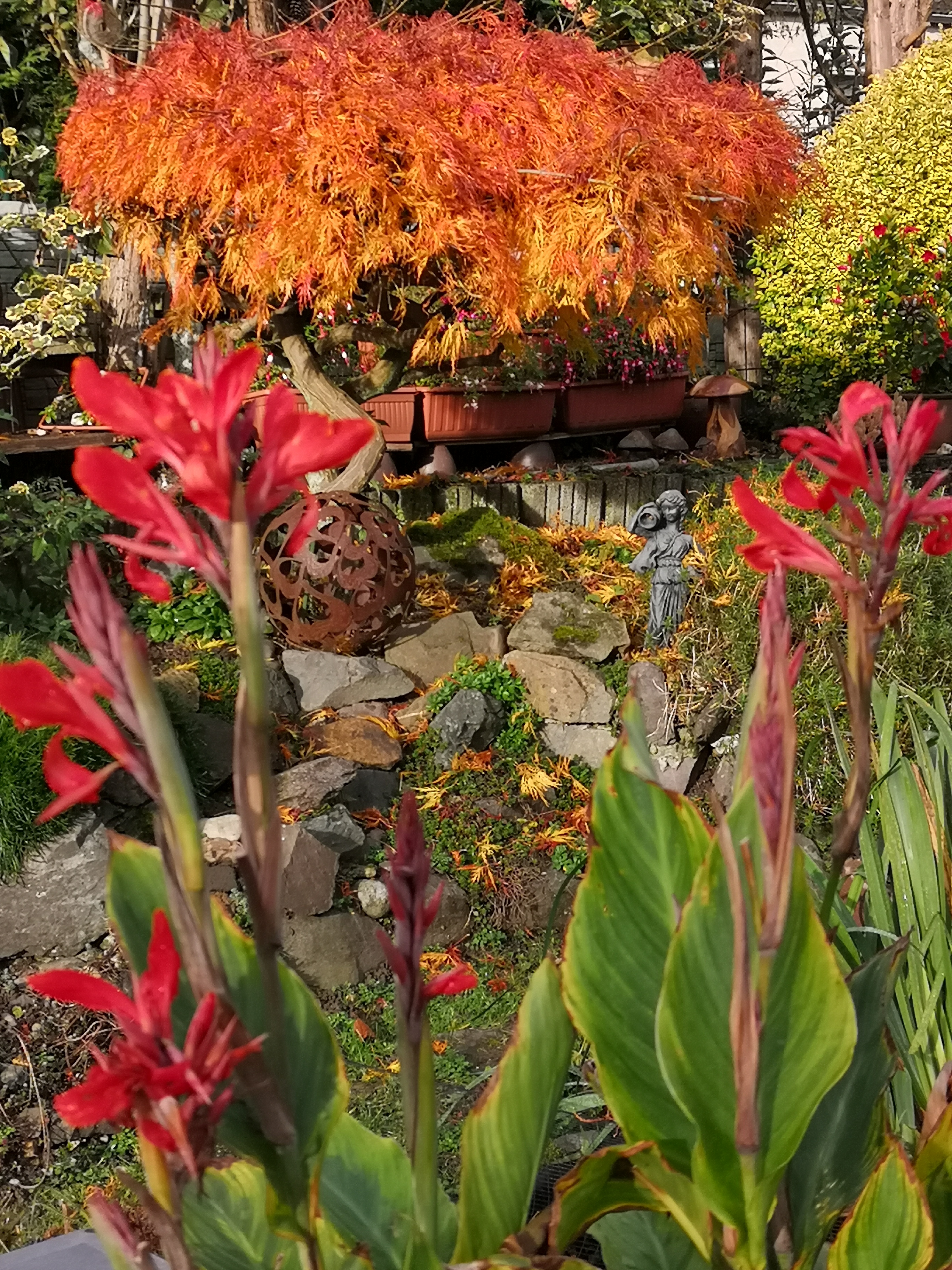 alle Wege sind  "auch mit Rollator" begehbar, ausreichend Sitzgelegenheiten sind vorhanden