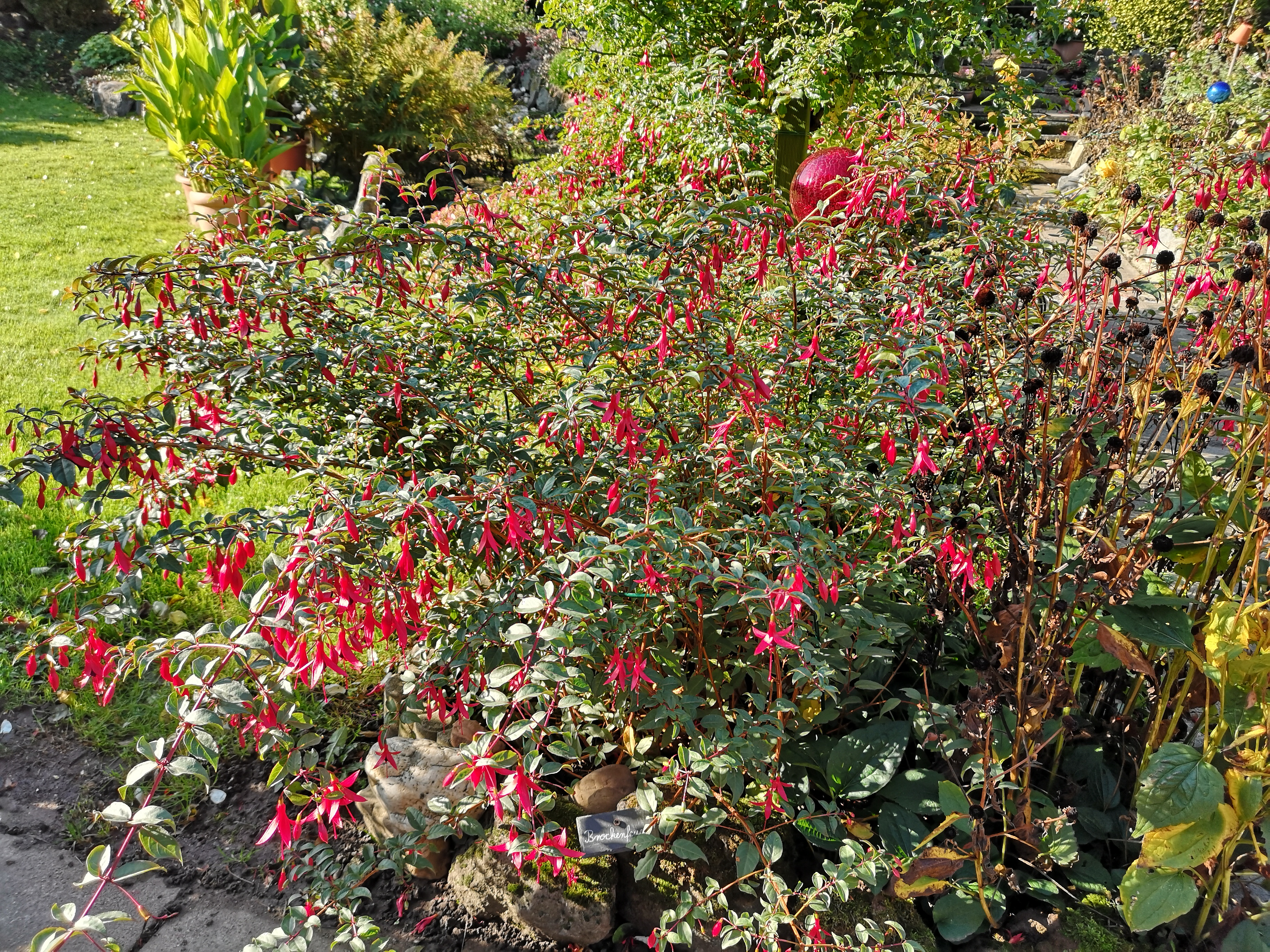 alle Wege sind  "auch mit Rollator" begehbar, ausreichend Sitzgelegenheiten sind vorhanden