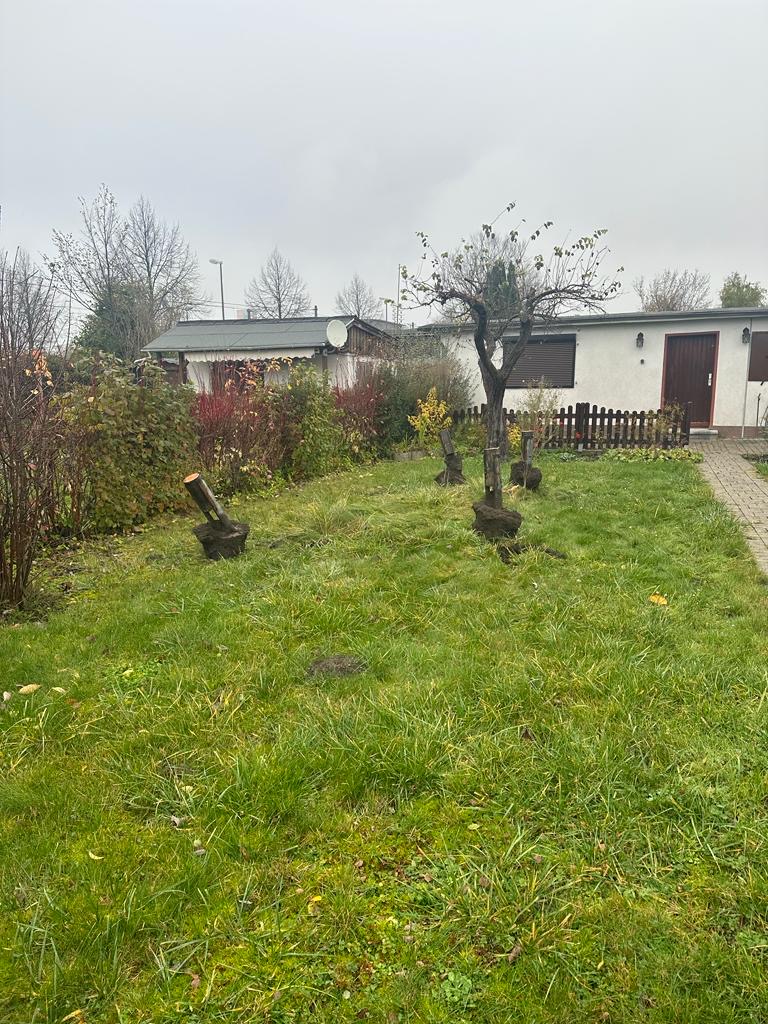 Mediterrane Dortmund, Kleingarten frisch gewagt Platz für neue Bäume