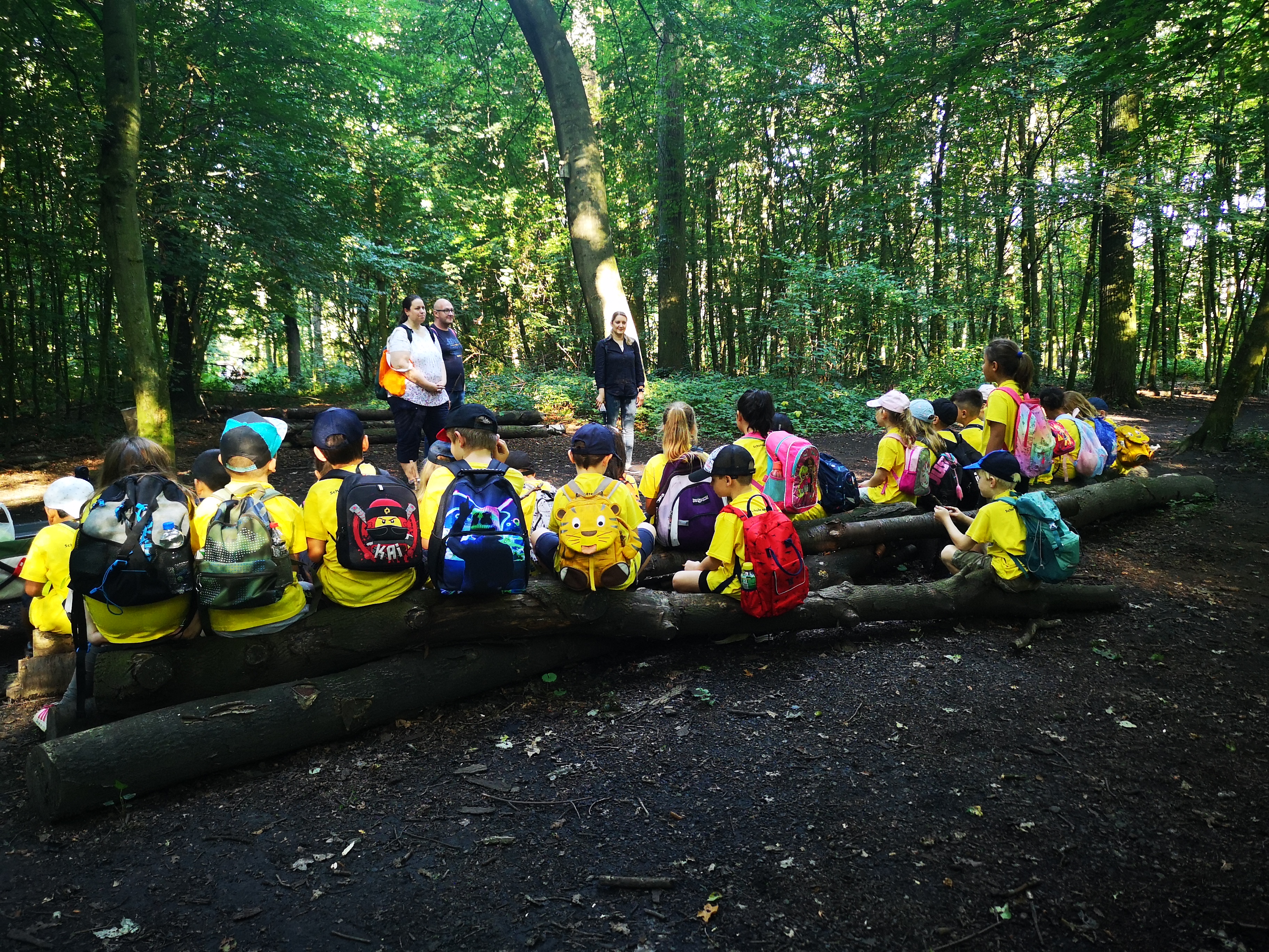 Eine Schulklasse im Grünen Klassenzimmer in einem deutschen Mischwald. Die Kinder sind von hinten auf einem Baumstamm sitzend fotografiert 