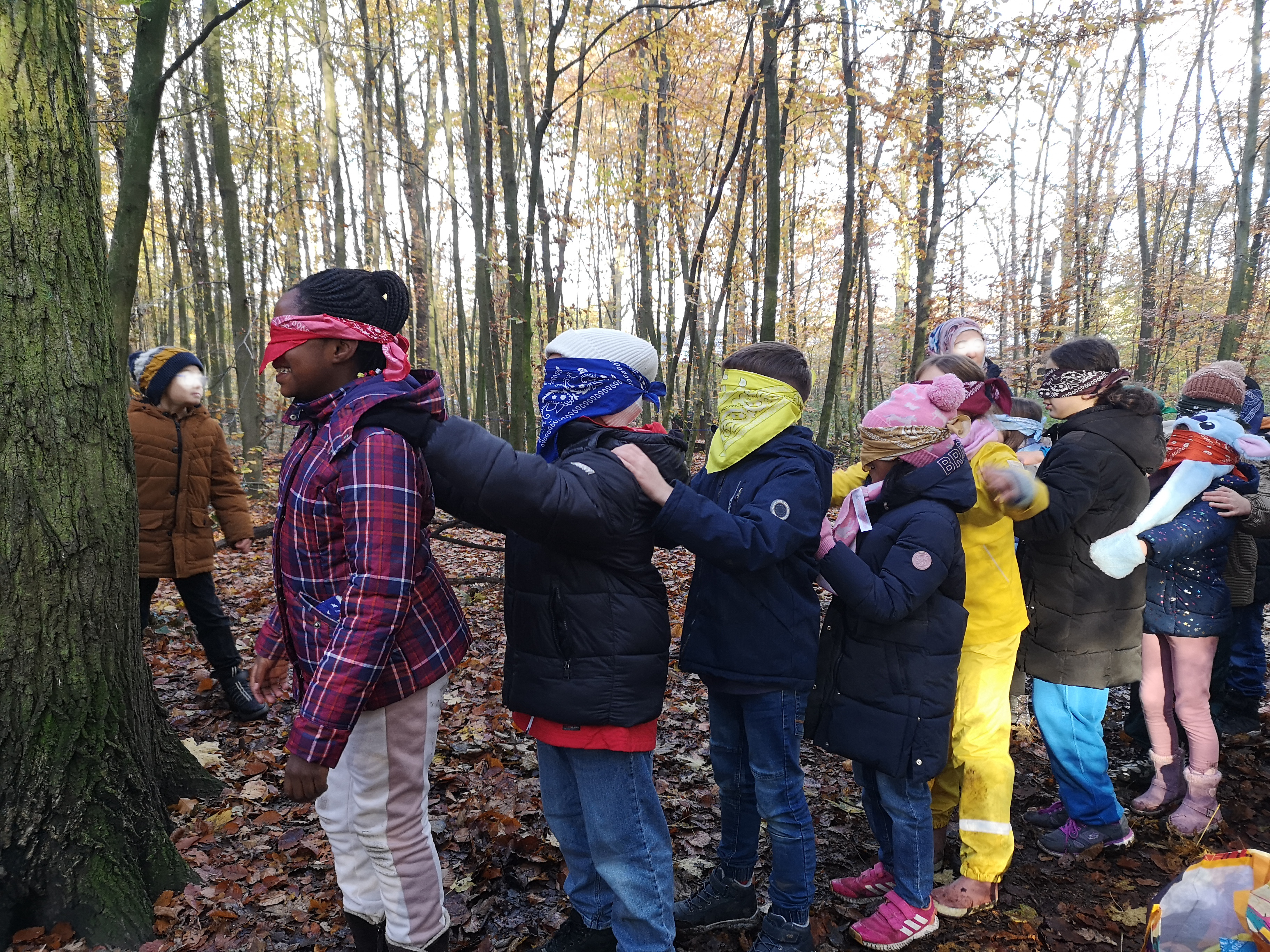 Grundschulklinder stehen mit verbundenen Augen hintereinander vor einem Baum