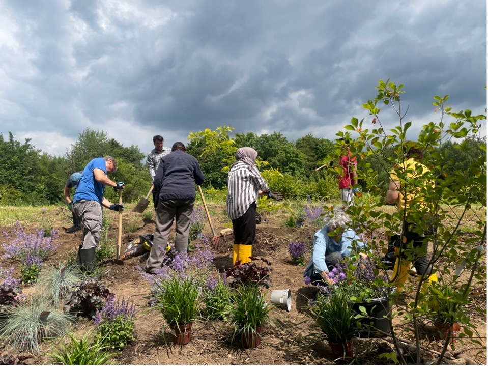 Eine Gruppe von Menschen pflanzt Bäume und Sträucher mit Spaten vor einem wolkenverhangenen Himmel.