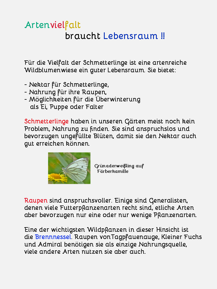 Schmetterlingsspirale Recklinghausen Präsentationsposter