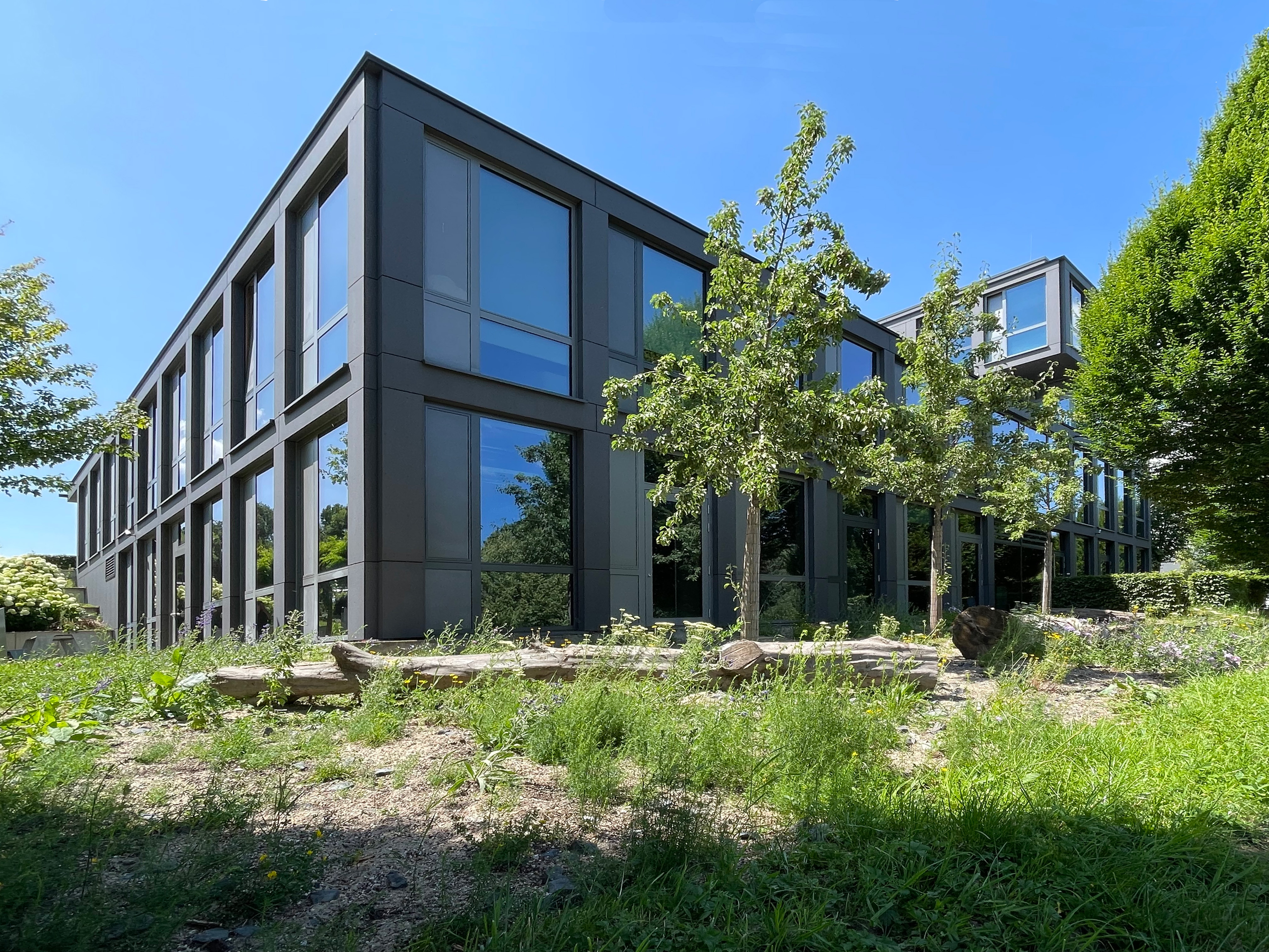 BlueOffice_SSP AG_Südseite Naturnahe Freianlagengestaltung auf der Südseite