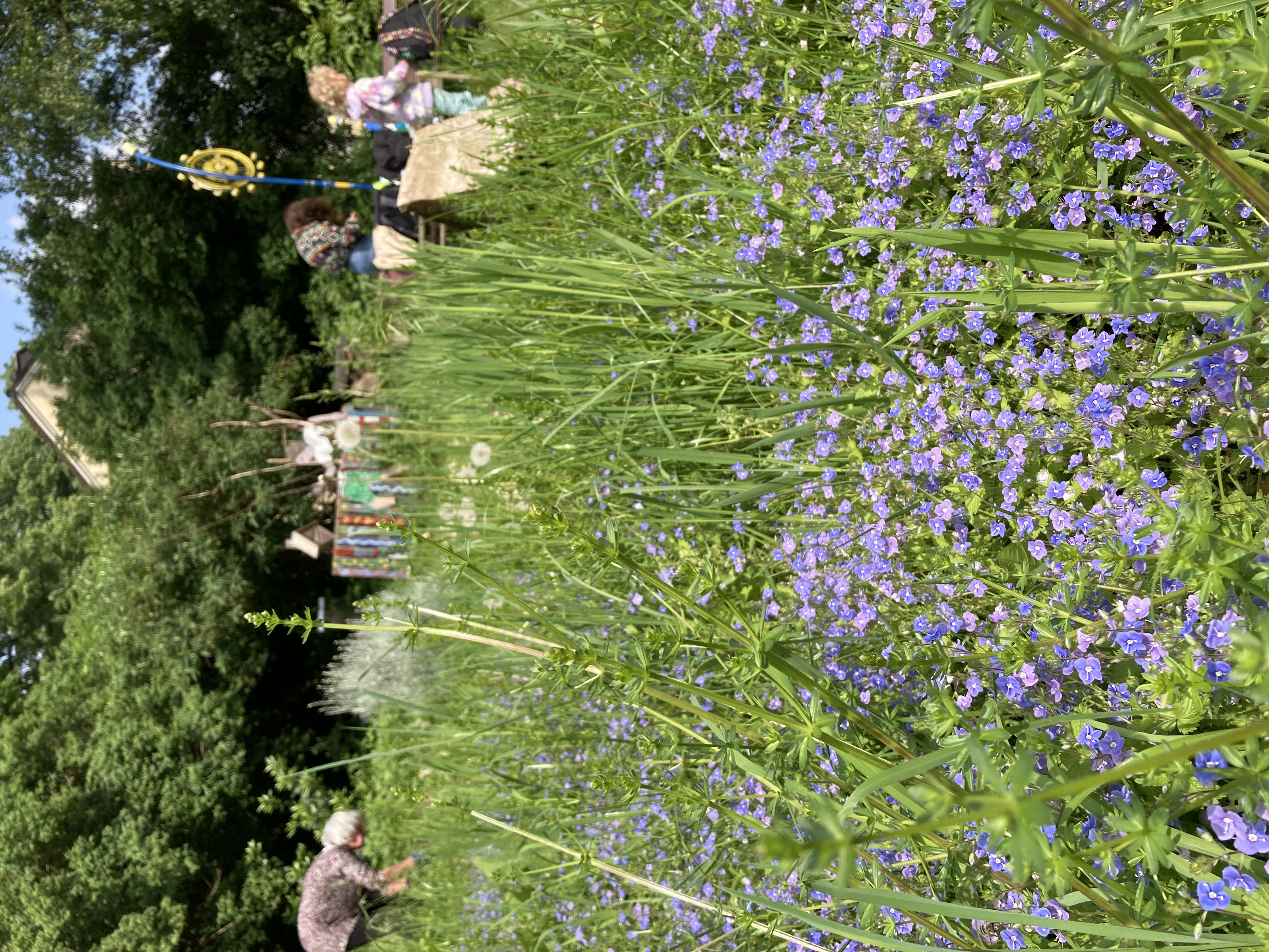 Gemeinschaftsgarten an der Bochumerstrasse Naturbelassen im Stadtteil