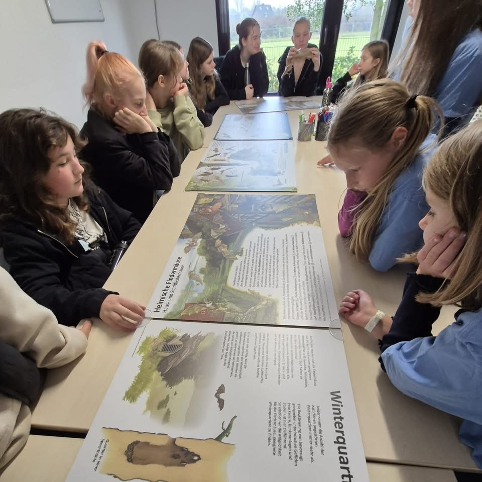 Vesperto Fledermausschutz_Duisburg_Tom Perkowski_2025 Kindergruppe sitzt um mehrere Fledermaus-Bildtafelm die auf einen Tosch liegen