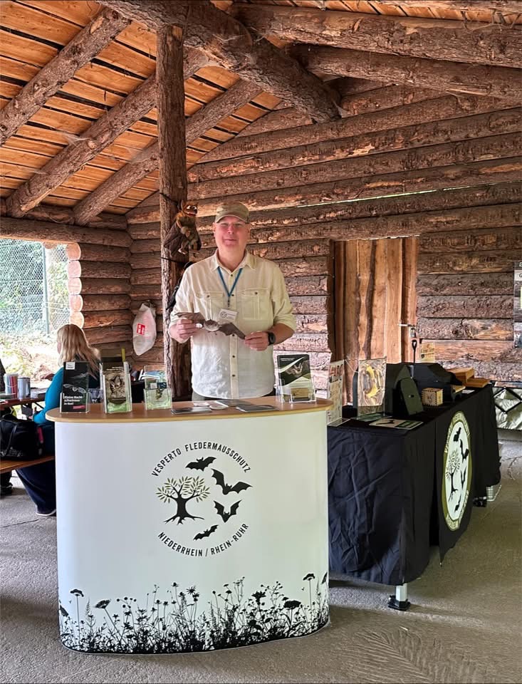 Vesperto Fledermausschutz_Duisburg_Tom Perkowski_2025 In einer rustikalen Holzhütte (Duisburger Zoo) steht ein Mann hinter einem halbhohen, gebogenen Infostand. Auf der Front ist das Logo „VESPERTO Fledermausschutz Niederrhein / Rhein-Ruhr“ zu sehen. Der Mann trägt ein helles Hemd, eine Kappe und ein Namensschild und hält ein kleines Fledermausmodell in den Händen.
