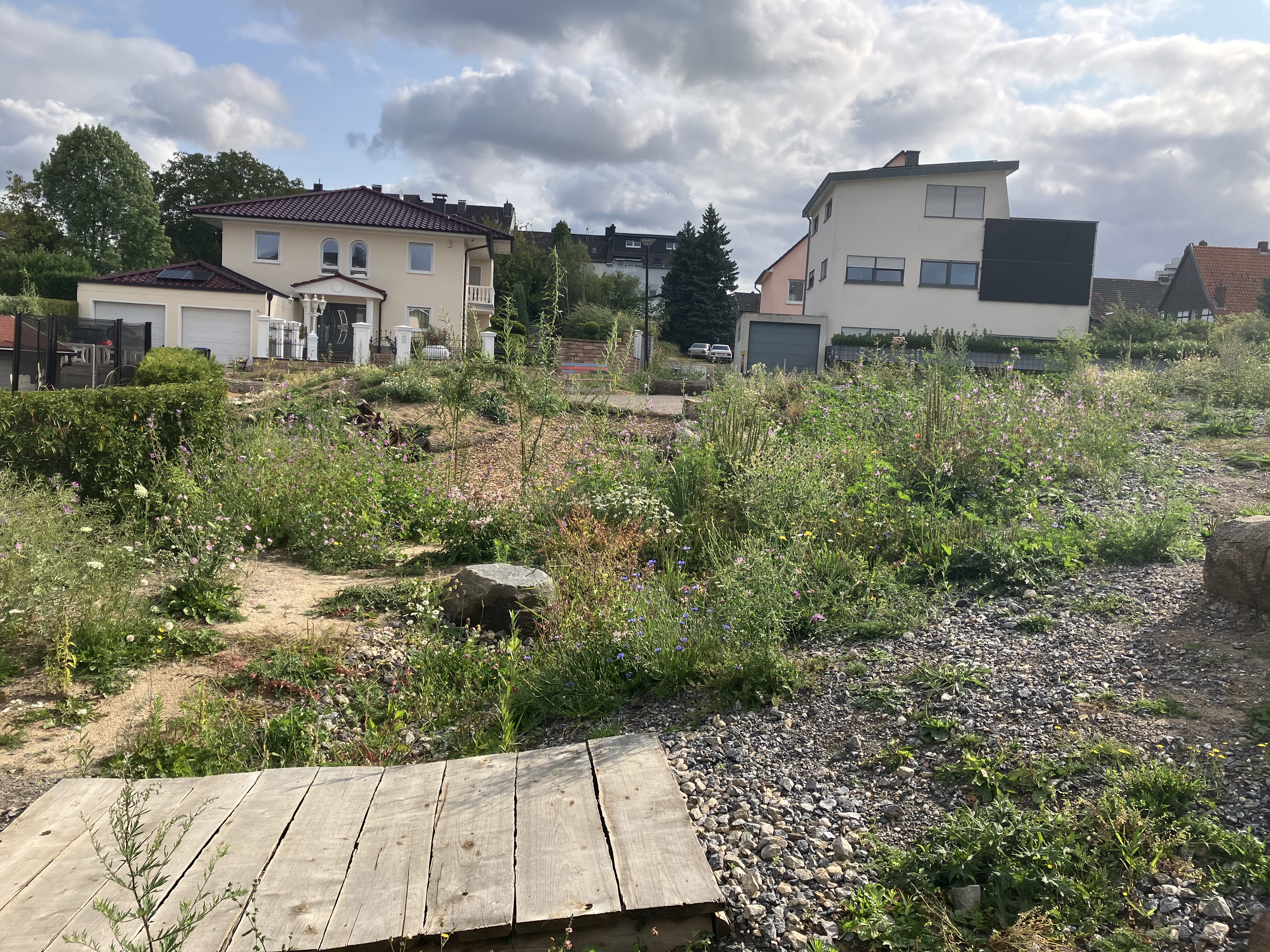Natuerfahrungsfläche