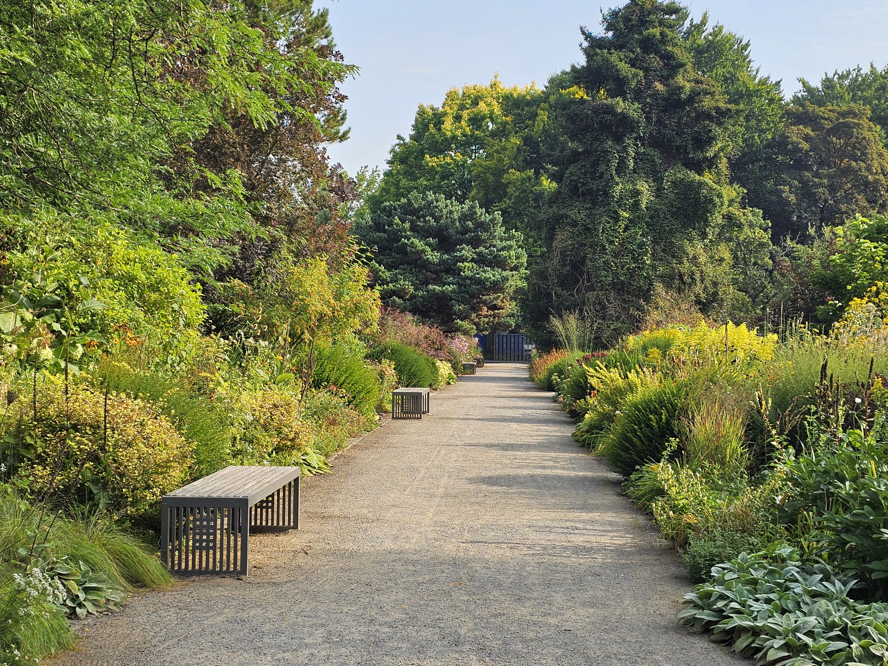 Links und rechts eines Weges liegen bunte Beete mit Stauden