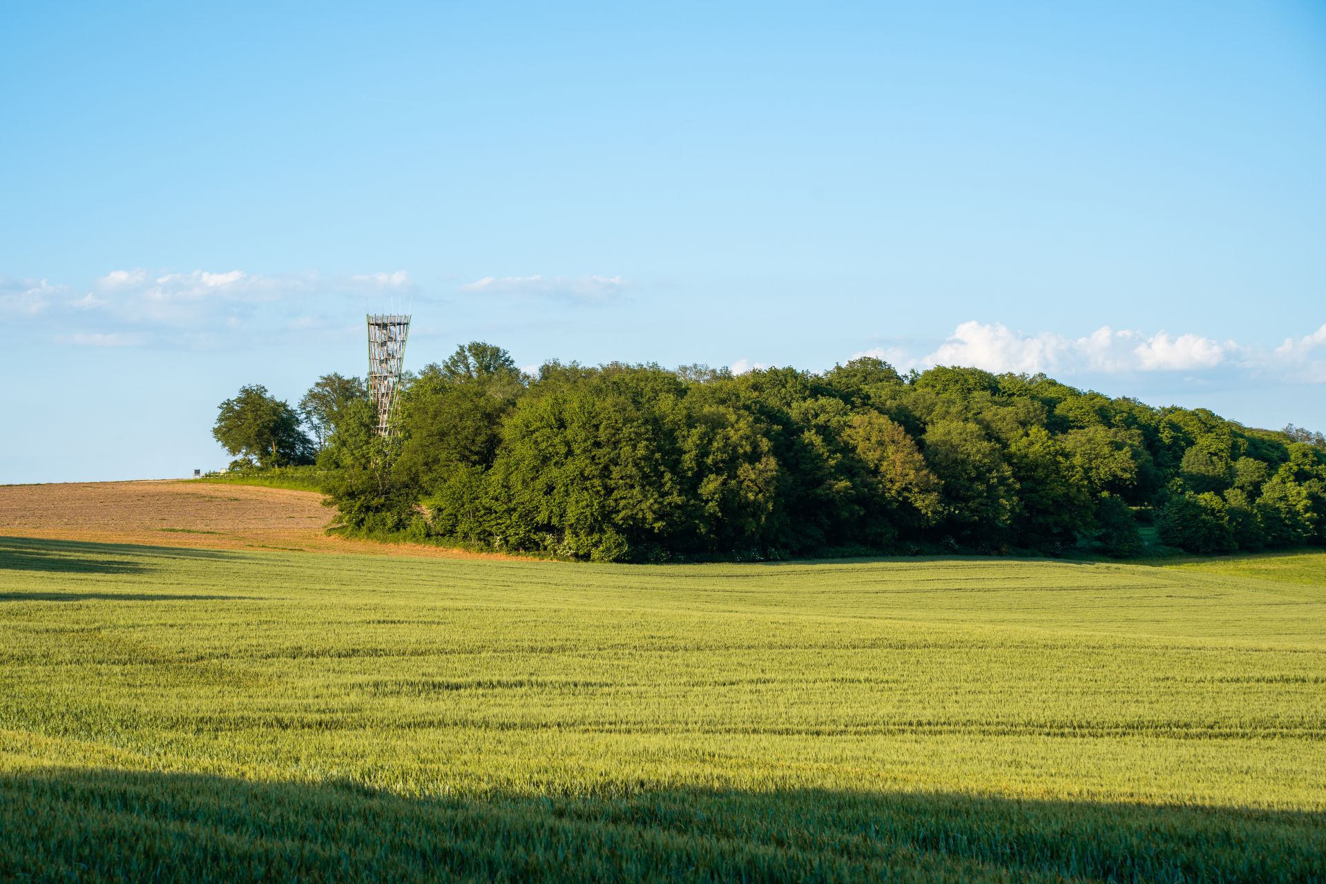 KlimaWaldMeister_Sonsbeck_David Simon Aussichtsturm auf dem Sonsbecker Dürsberg