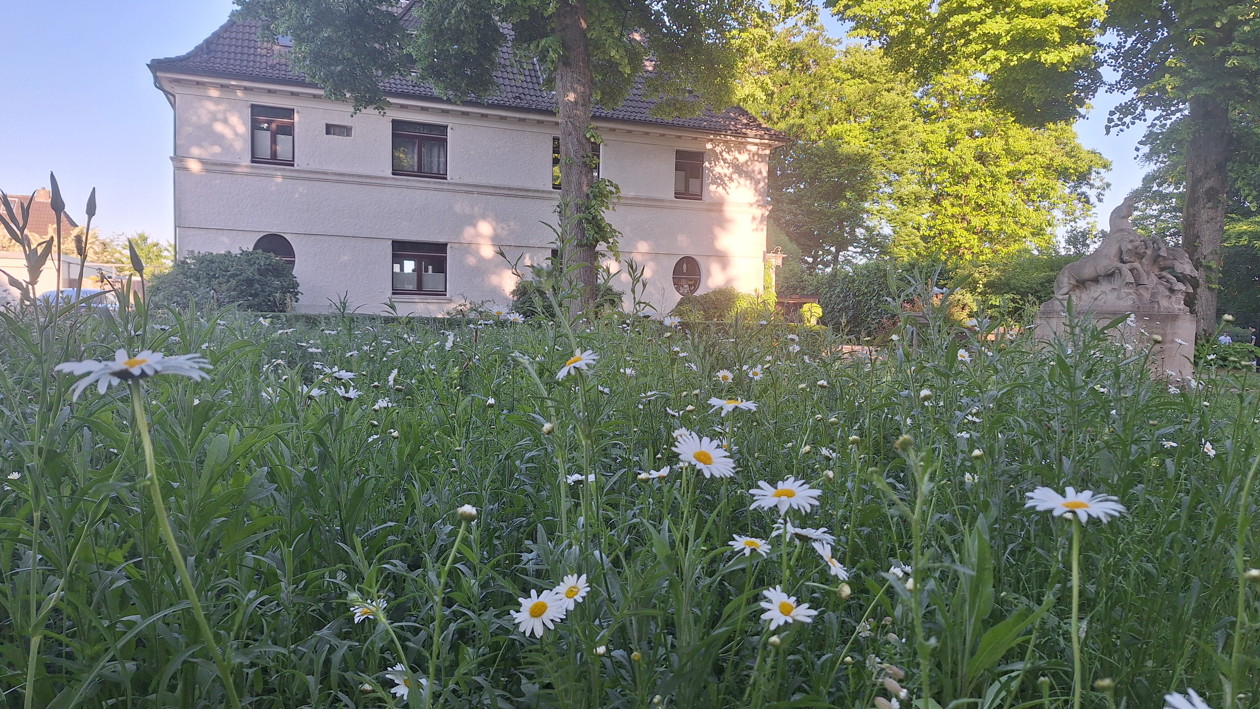 SaarnbergSiedlung_Mülheim an der Ruhr_Dennis Vollmer_2025 Wiese mit Wildblumen und Pferdedenkmal vor Haus aus den 20er Jahren