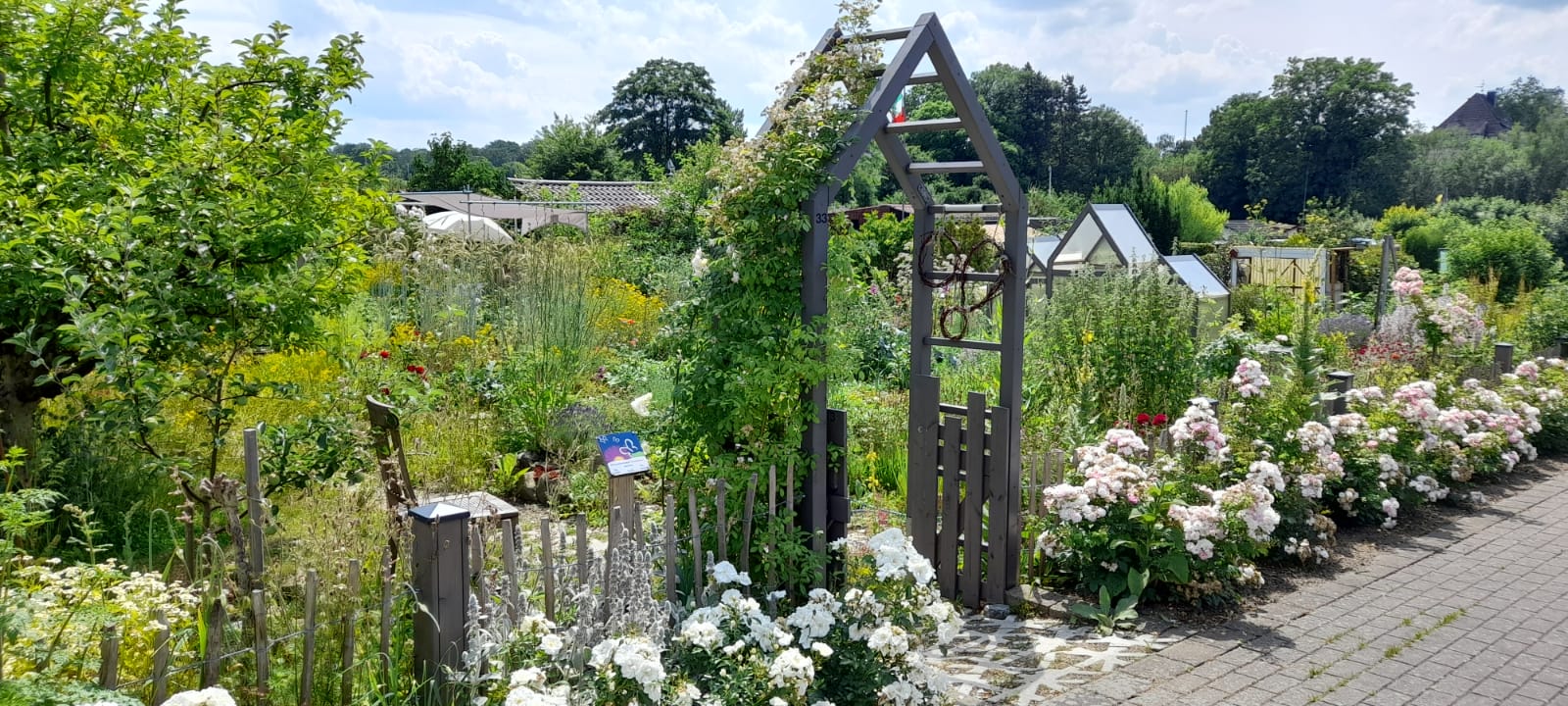 Naturnaher Kleingarten Nr 33