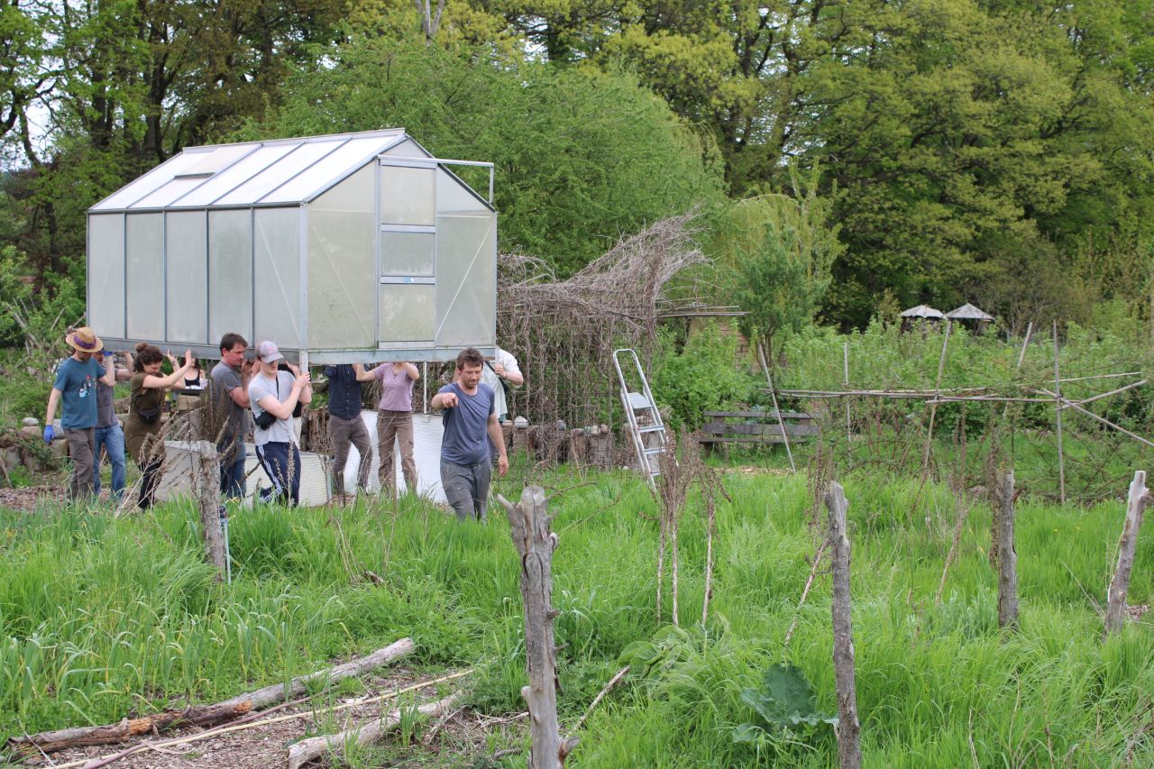 Gartentag im Hof Bergmann Mehrere Personen tragen ein Gewächshaus zum geplanten Standort im Gemeinschaftsgarten Hof Bergmann