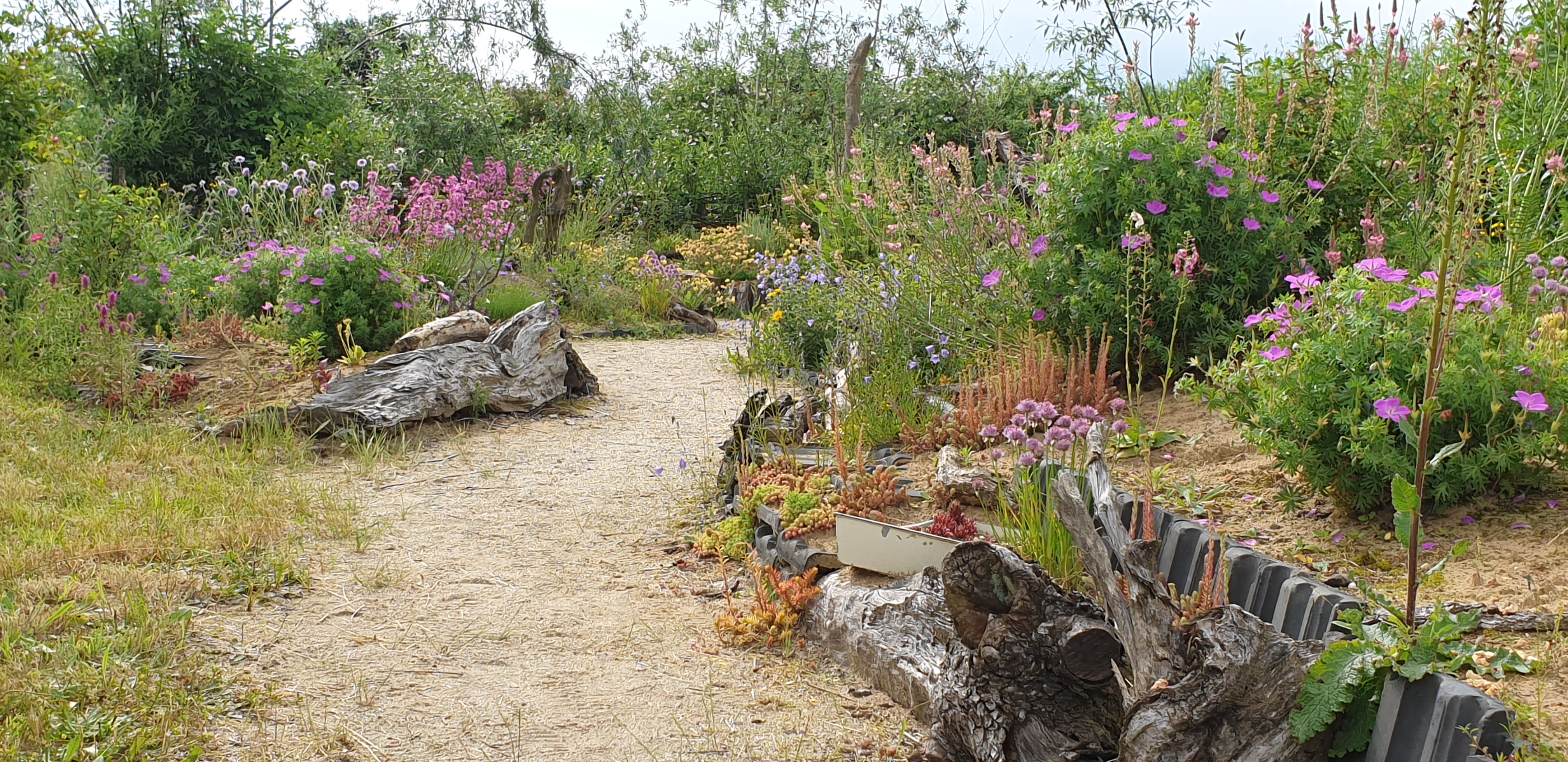 Naturgarten e.V.