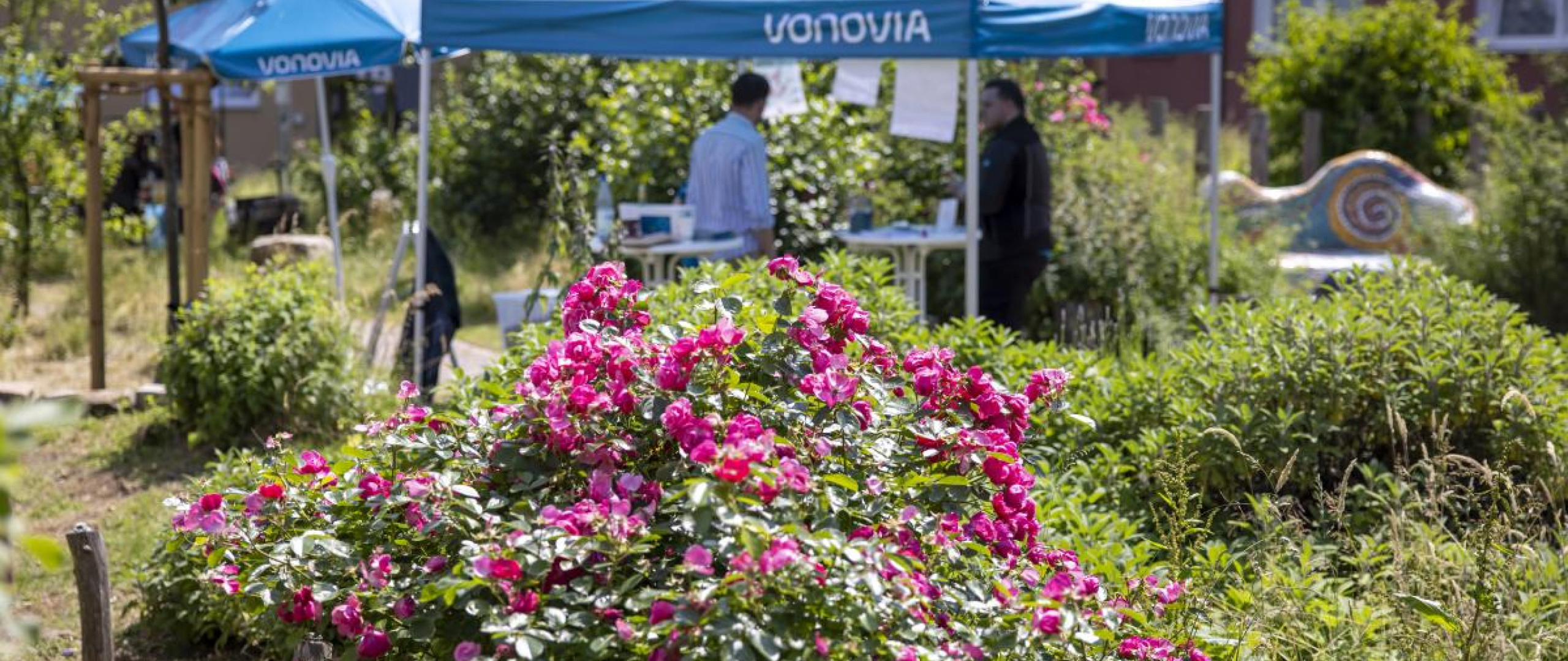 Eine öffentlich nutzbare Grünfläche mit blühendem Rosenbusch im Vordergrund und einem Informationsstand der Vonovia im Hintergrund